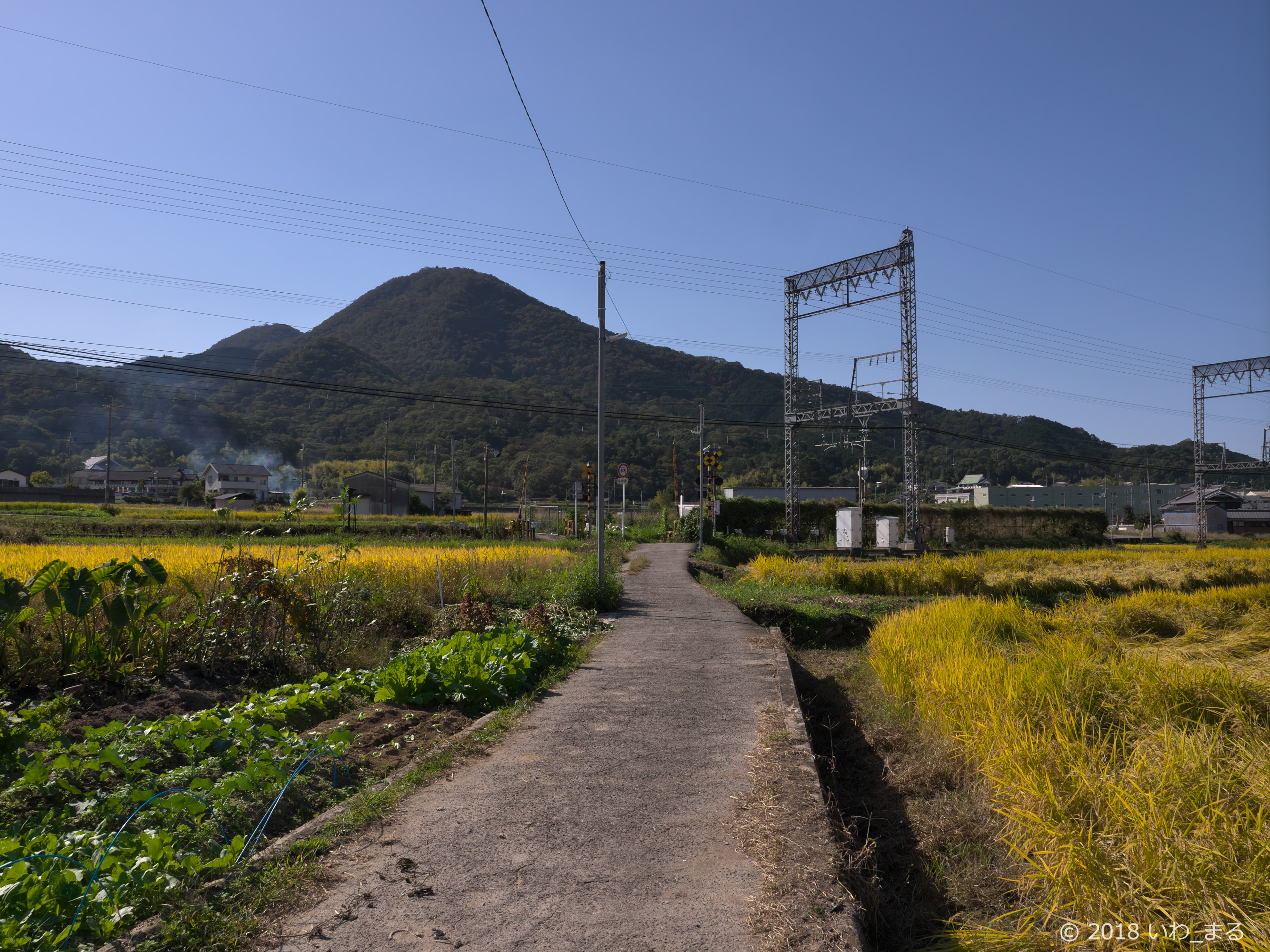 f:id:iwa_maru:20181101215913j:plain