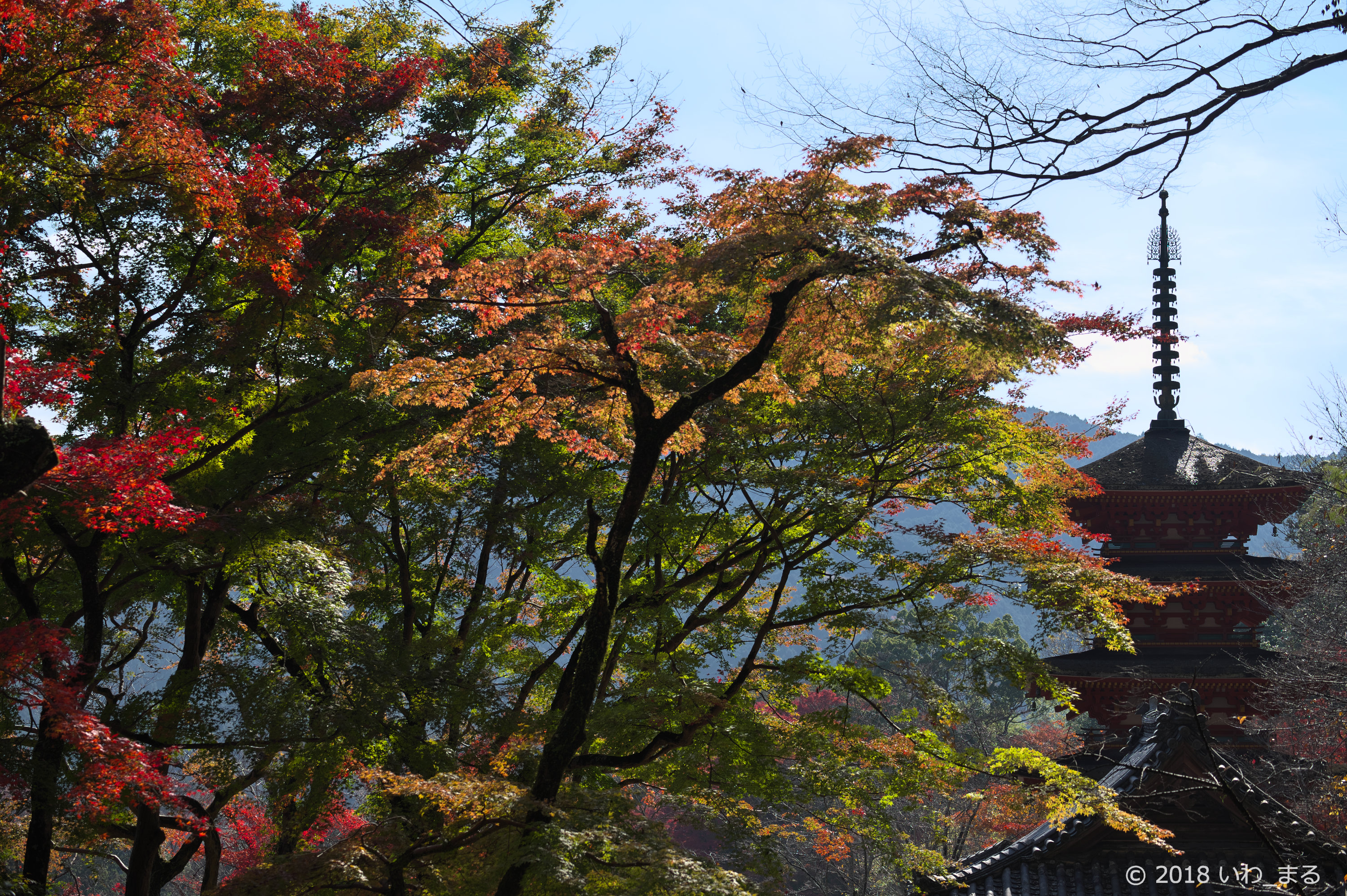 f:id:iwa_maru:20181205231850j:plain