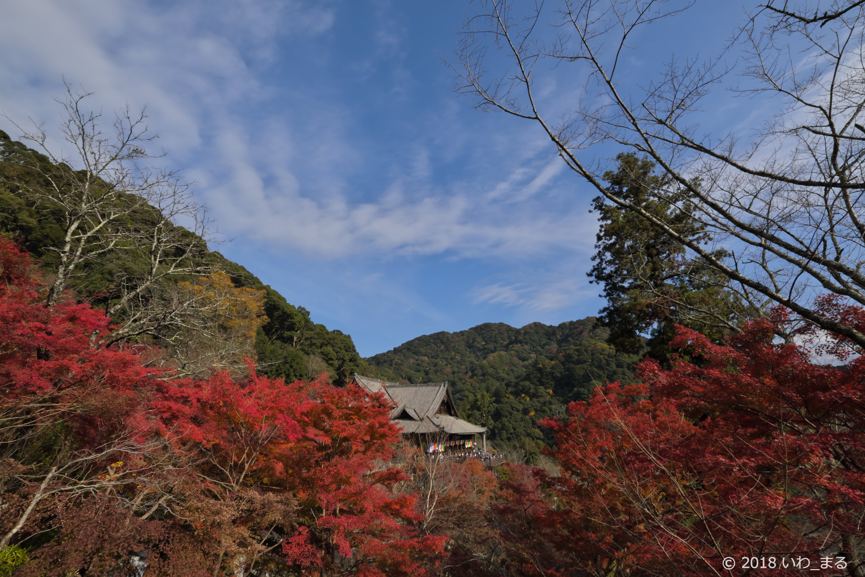 f:id:iwa_maru:20181207224637j:plain