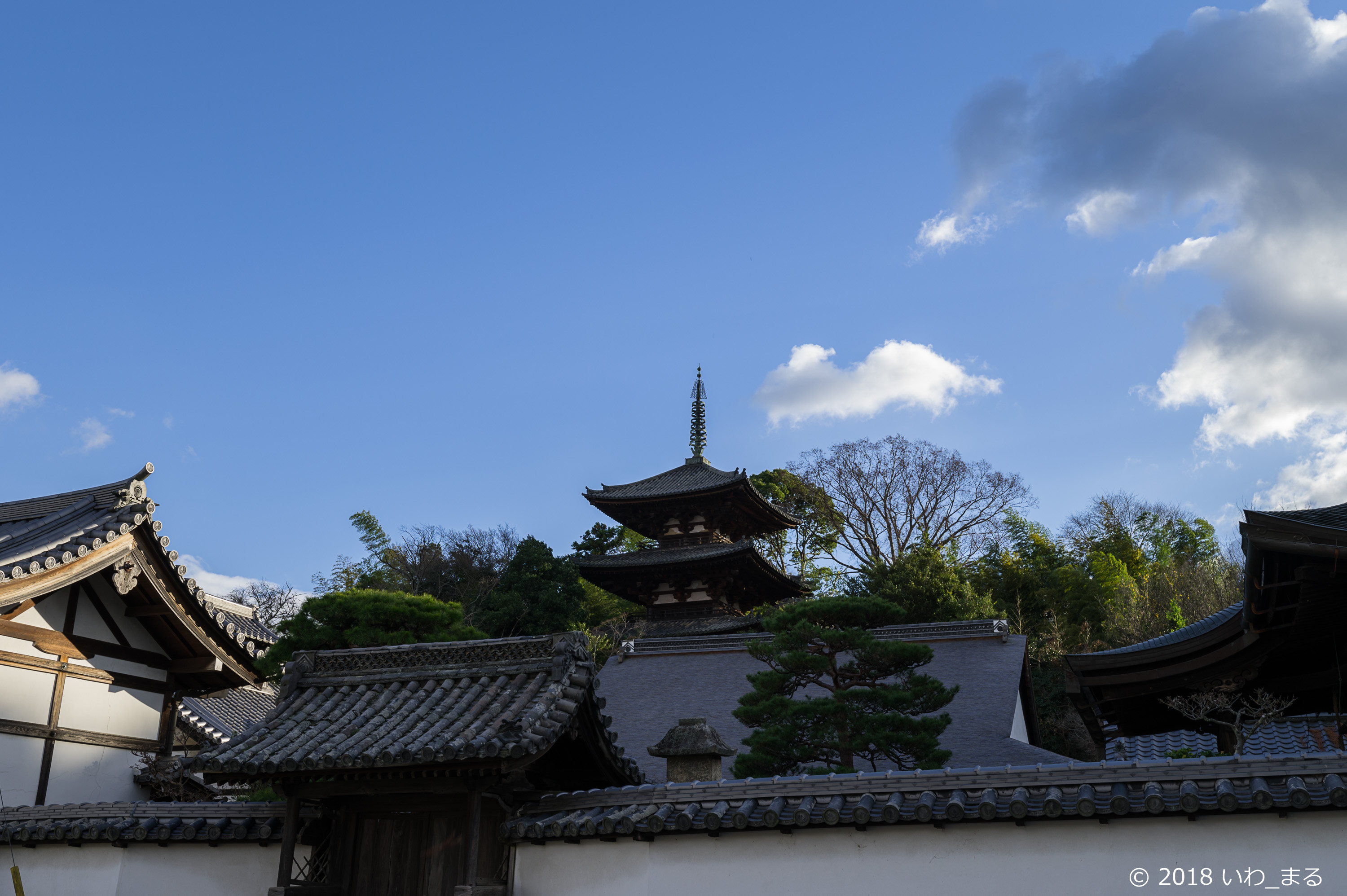 f:id:iwa_maru:20190102211349j:plain f:id:iwa_maru:20190102211349j:plain