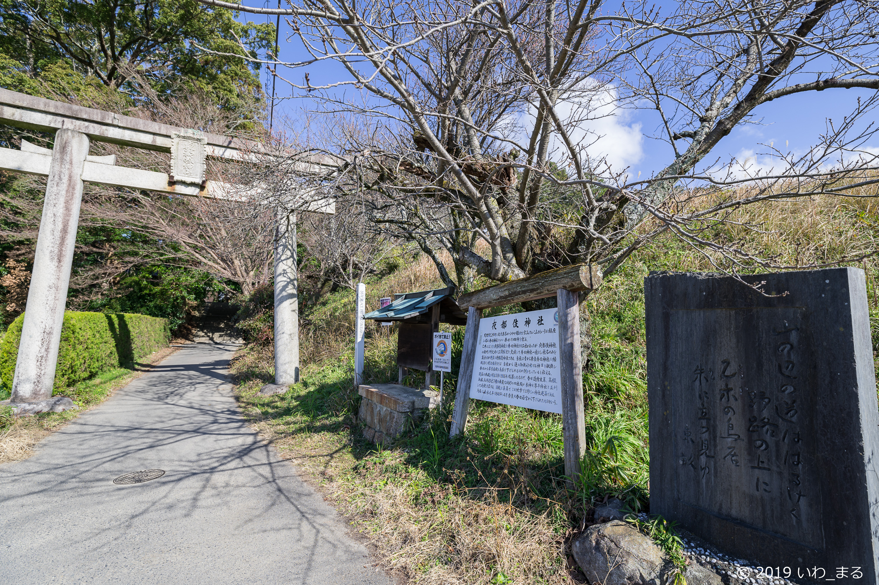 f:id:iwa_maru:20190115213606j:plain
