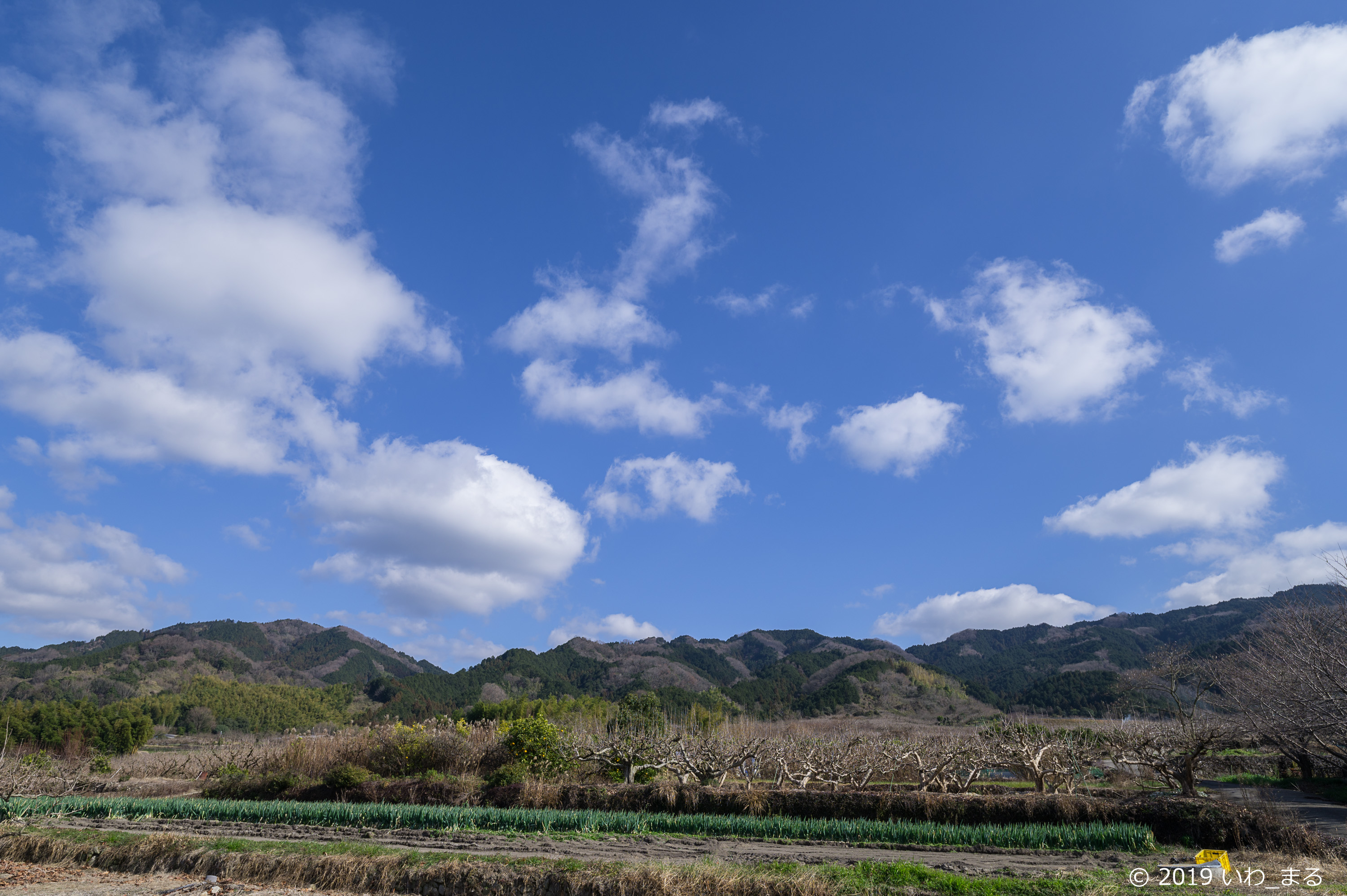 f:id:iwa_maru:20190115213727j:plain