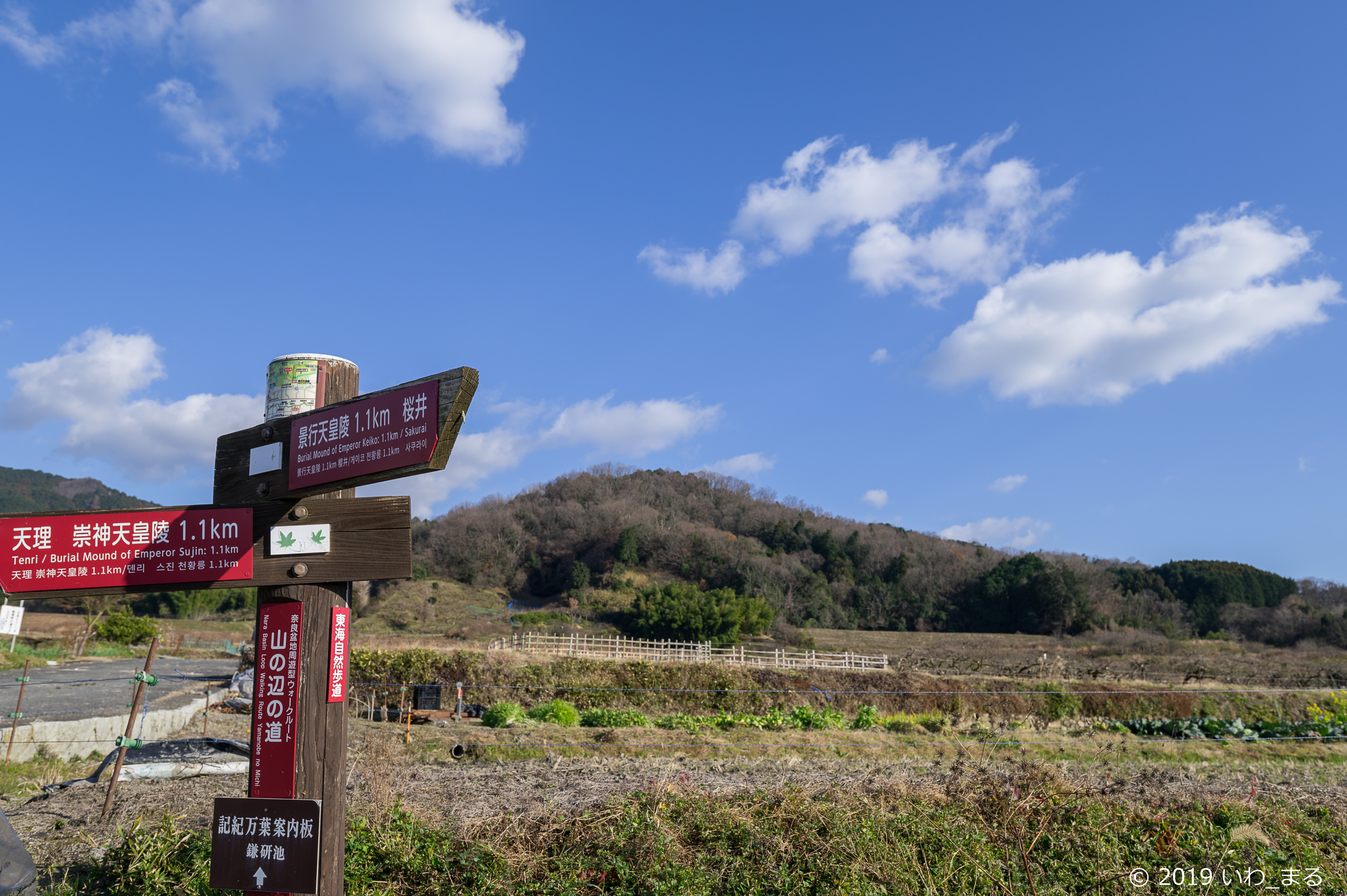 f:id:iwa_maru:20190116215206j:plain