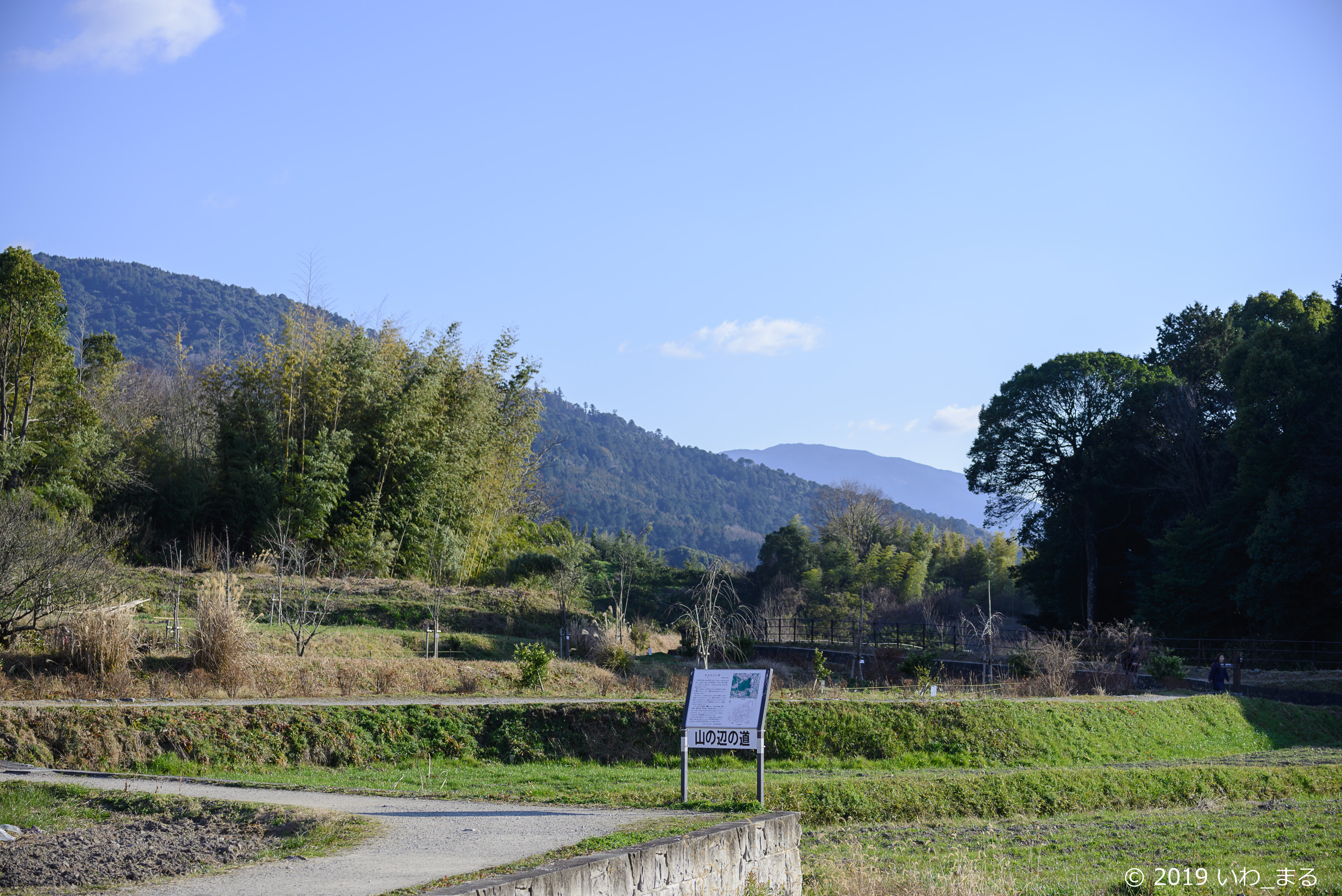 f:id:iwa_maru:20190116222411j:plain