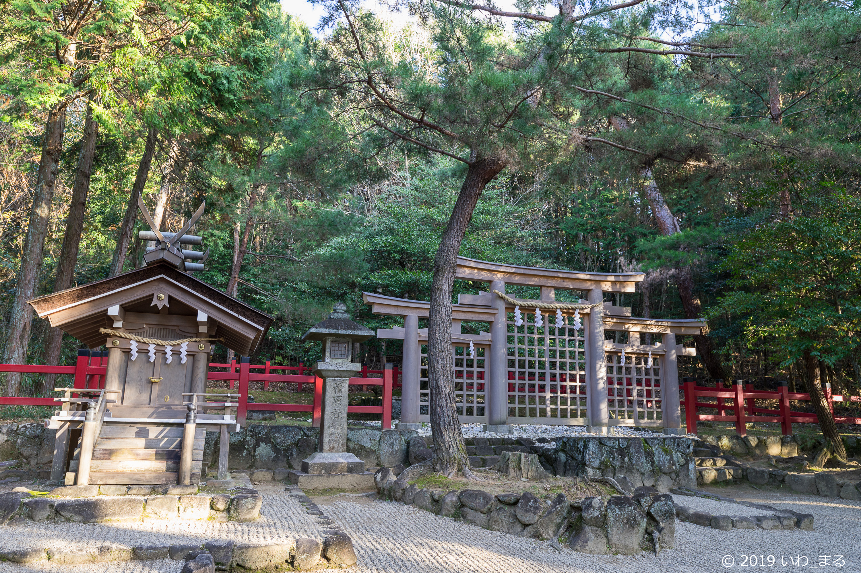 f:id:iwa_maru:20190117220917j:plain