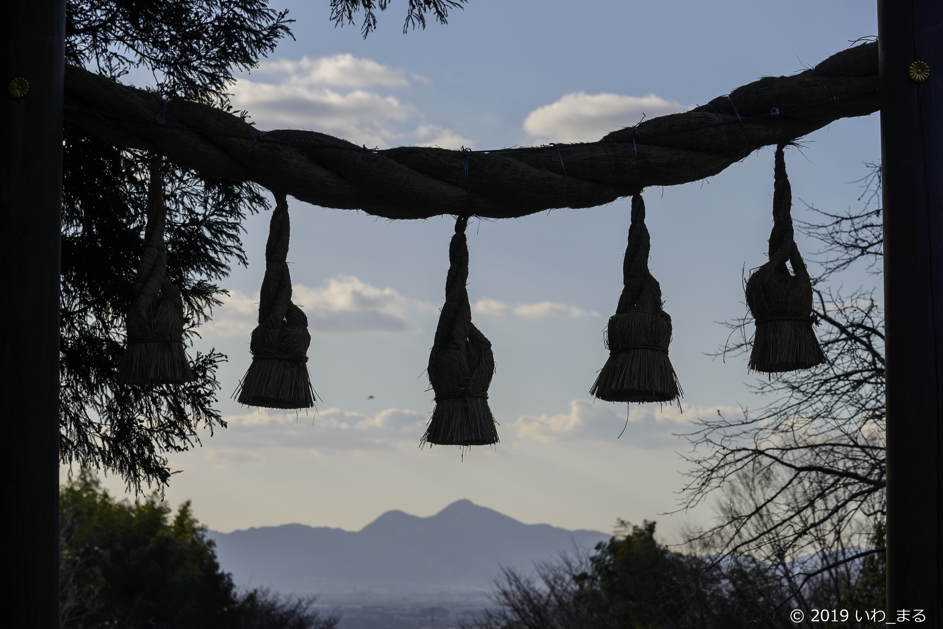 f:id:iwa_maru:20190117220948j:plain