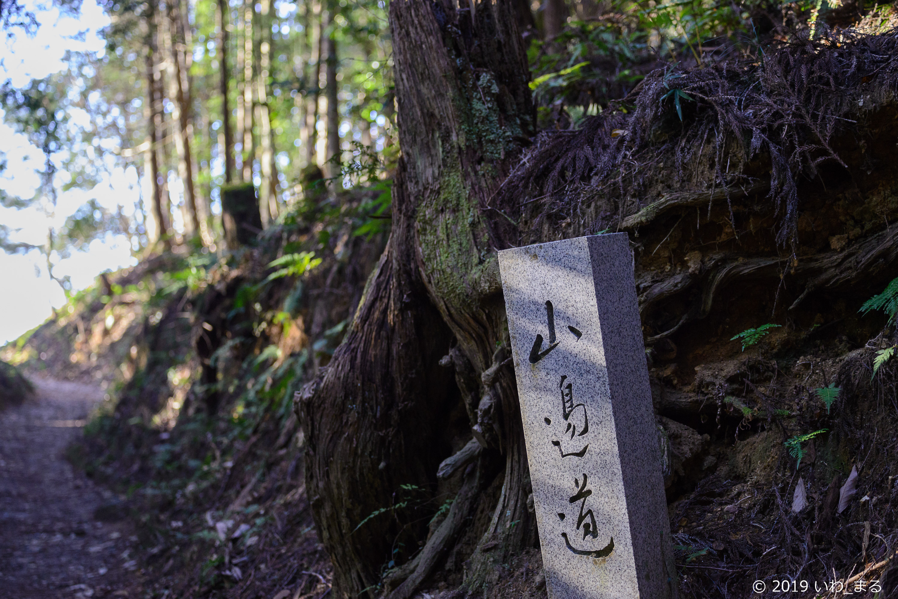 f:id:iwa_maru:20190117221118j:plain