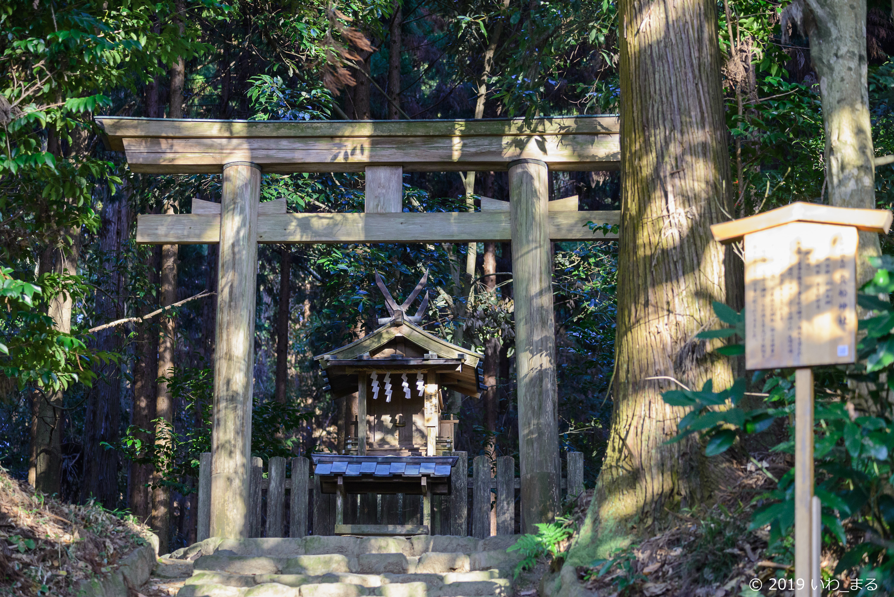 f:id:iwa_maru:20190117221124j:plain