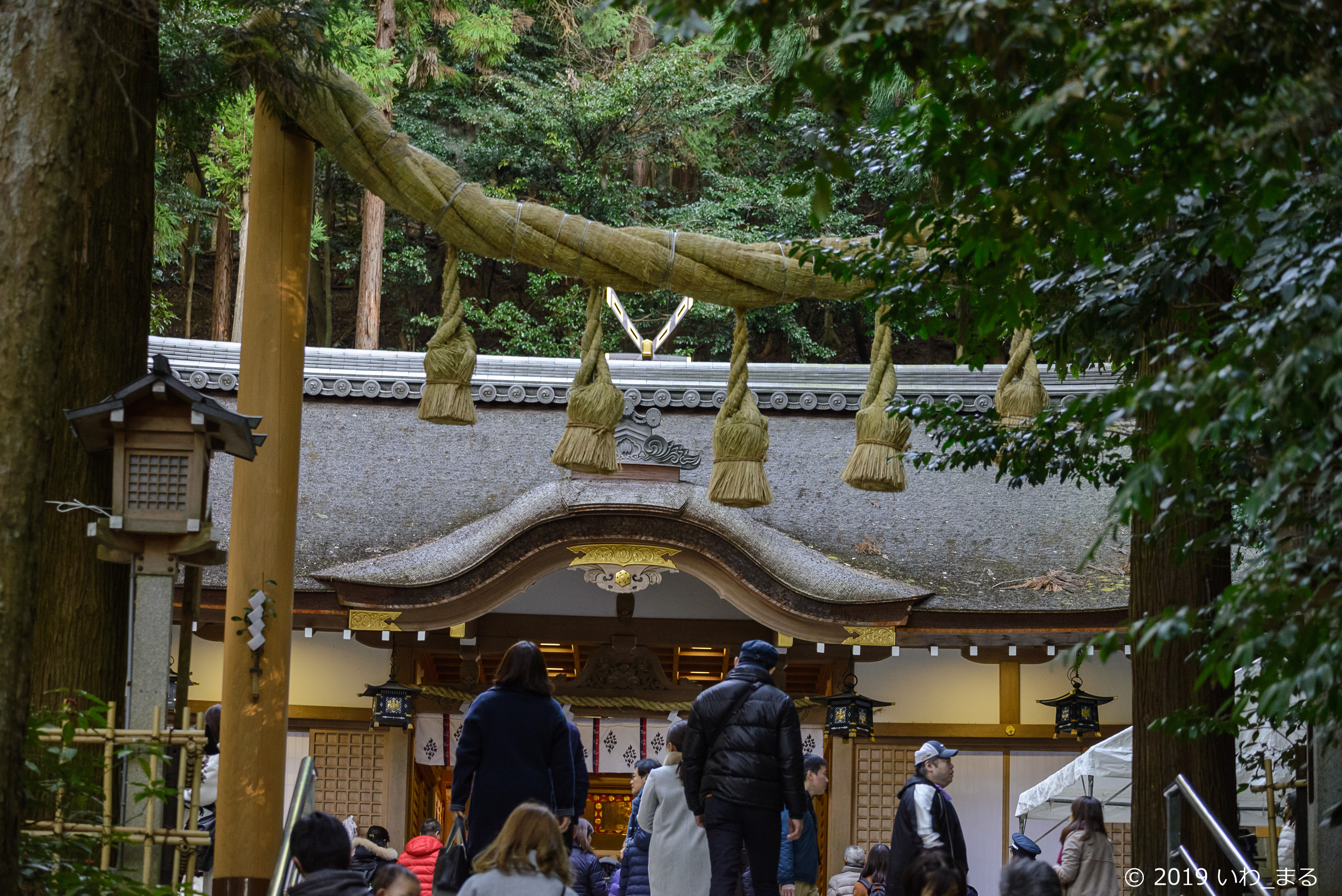 f:id:iwa_maru:20190117221130j:plain