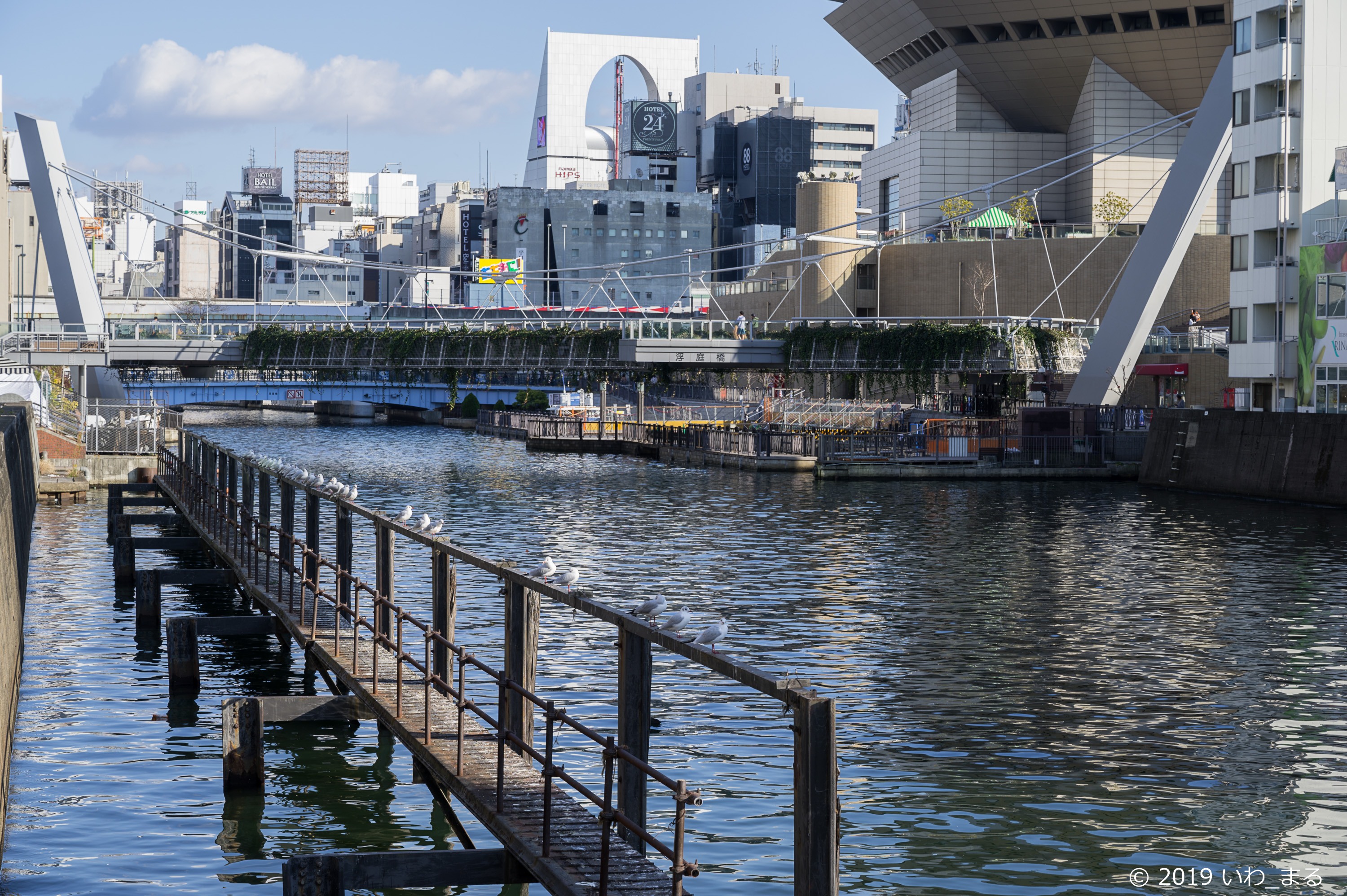 f:id:iwa_maru:20190120172248j:plain