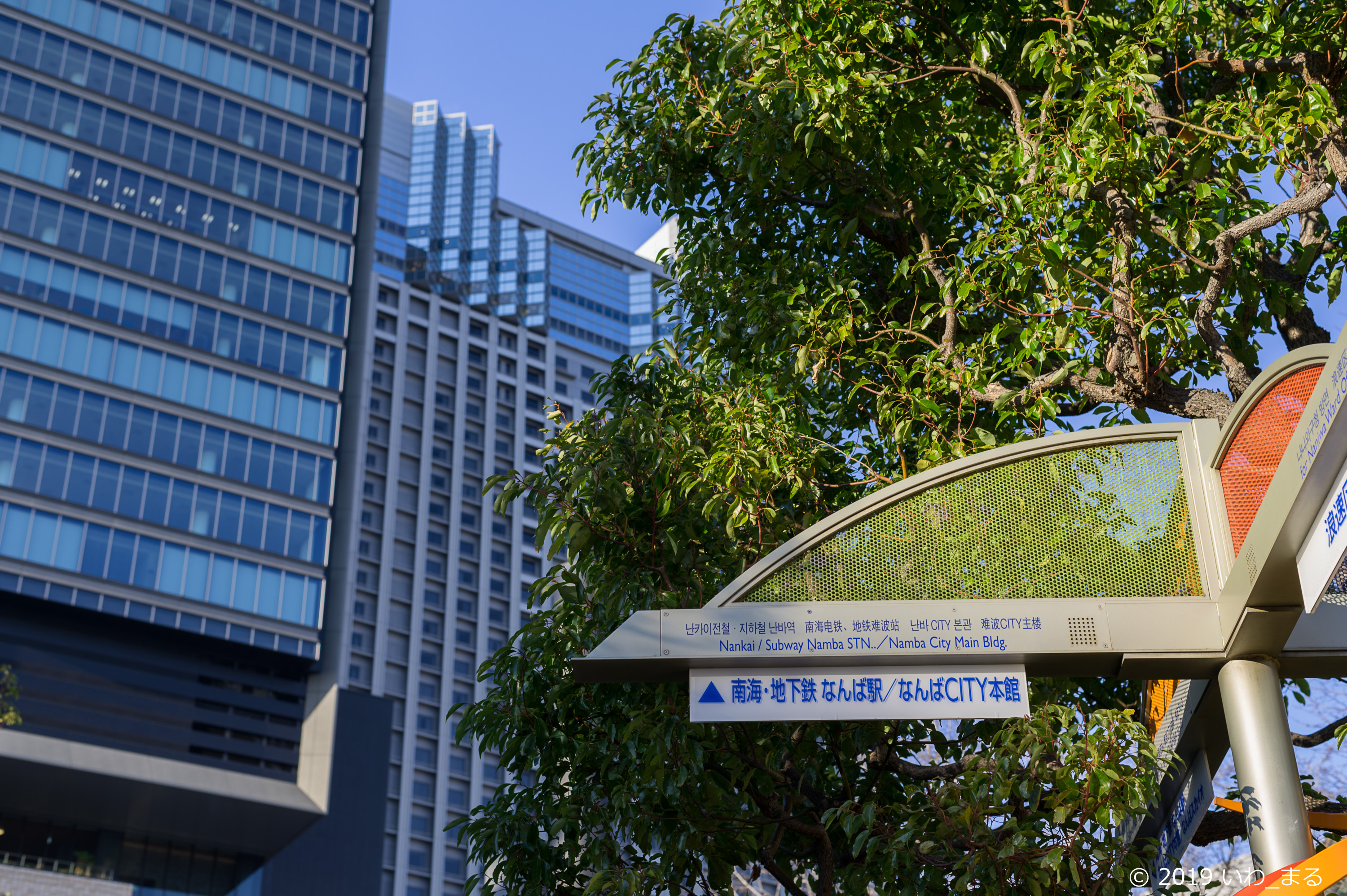 f:id:iwa_maru:20190120172514j:plain