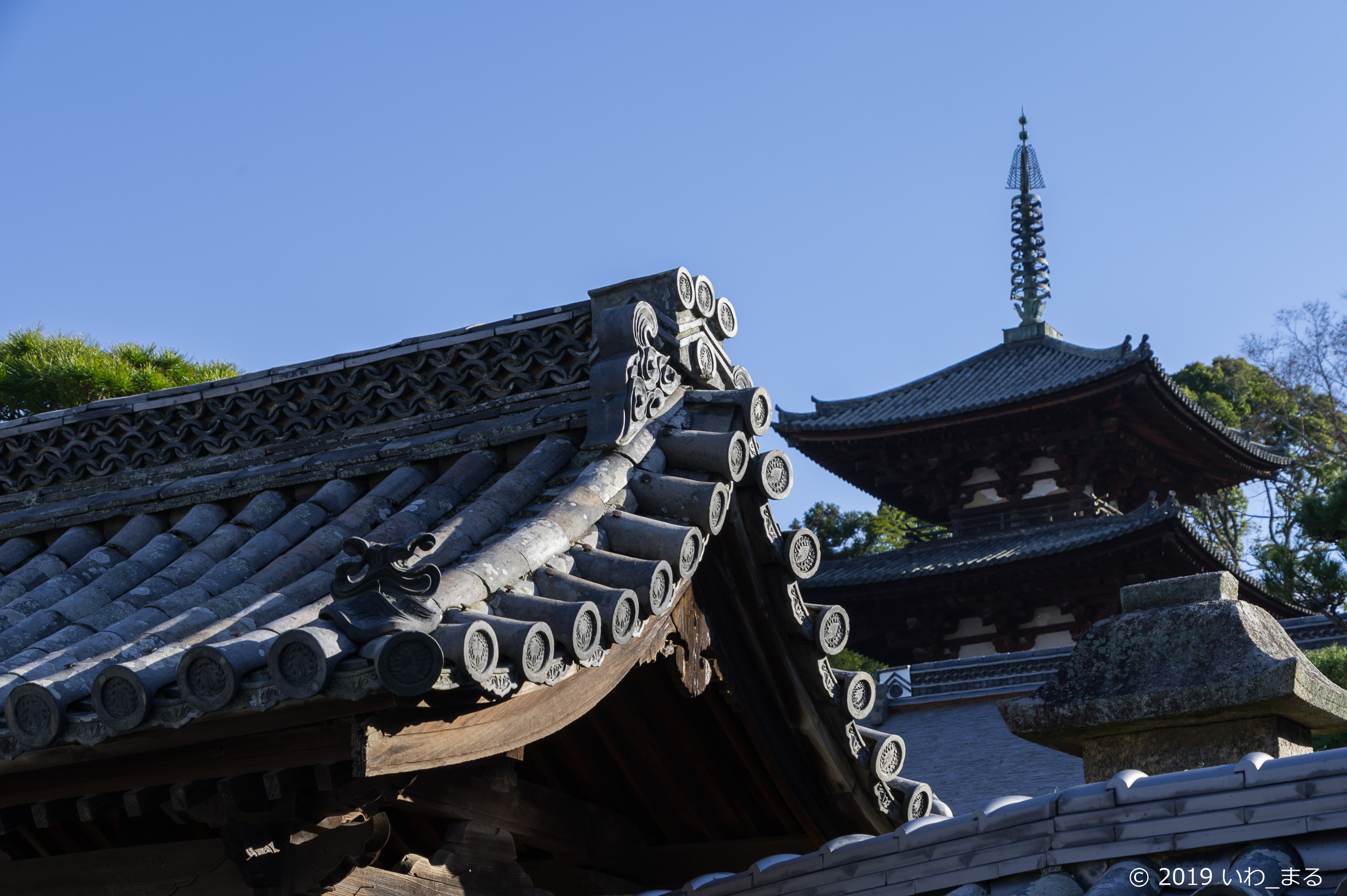 Nikon Z6 で TAMRON 28-300mm F3.5-6.3 Di VC PZD A010 を試して