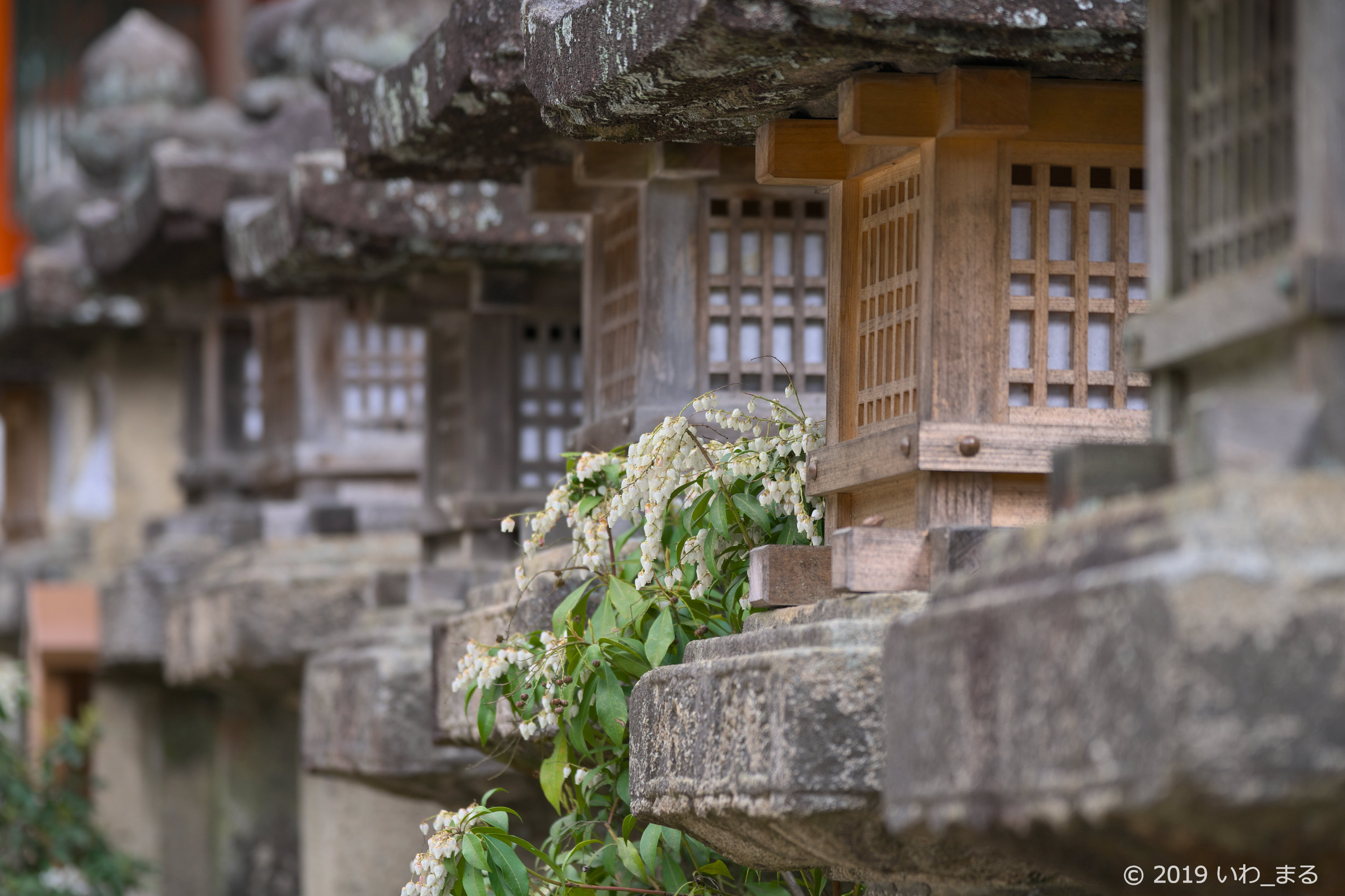 f:id:iwa_maru:20190325215225j:plain