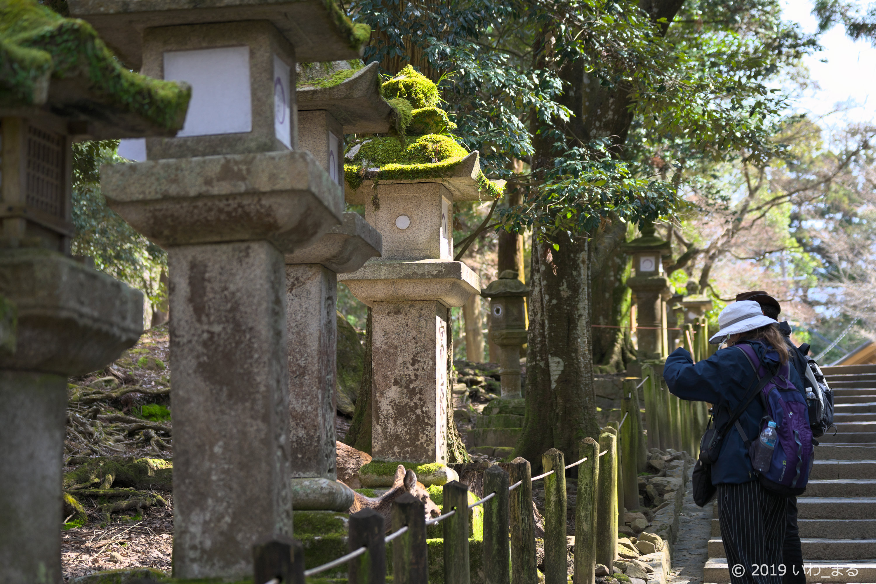 f:id:iwa_maru:20190325215232j:plain