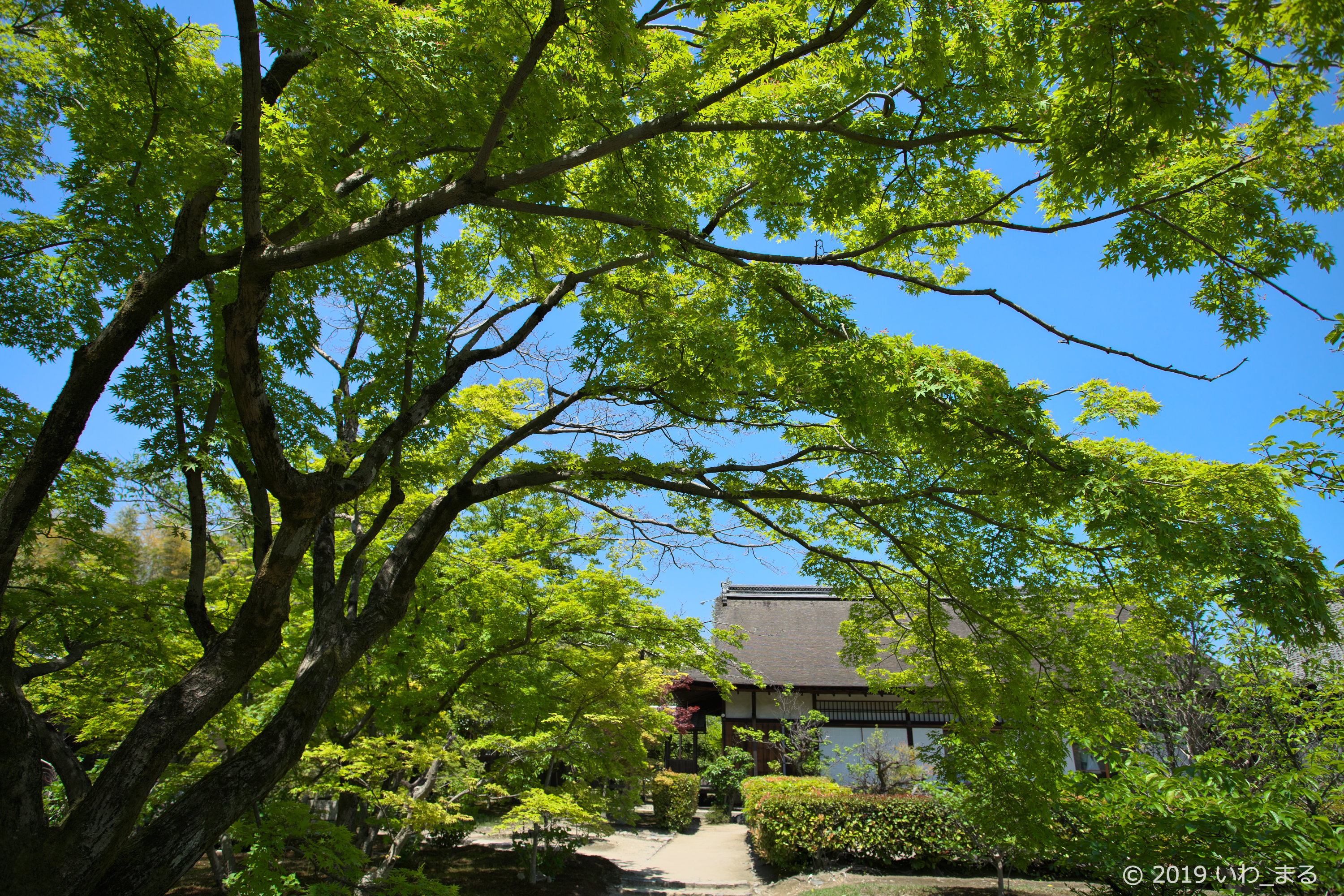 f:id:iwa_maru:20190508214829j:plain