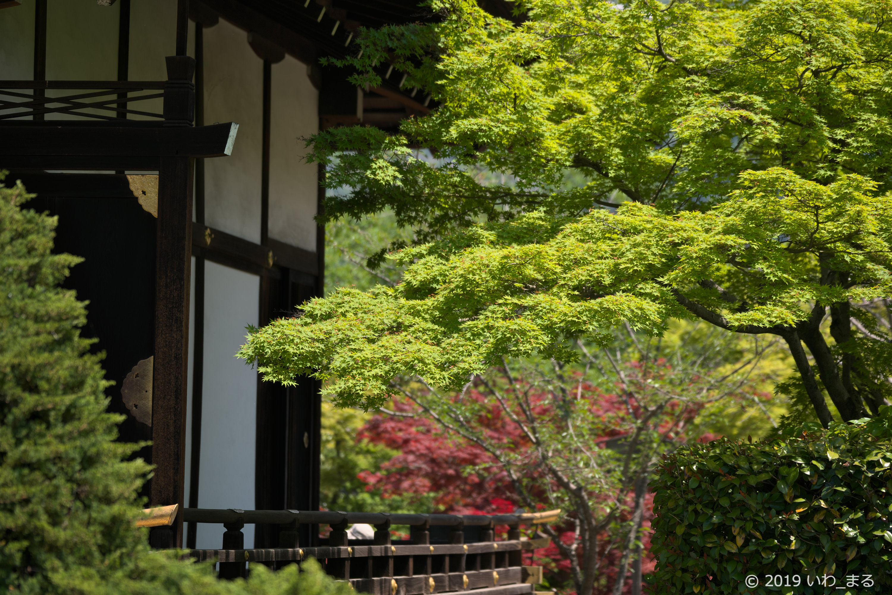 f:id:iwa_maru:20190508214939j:plain