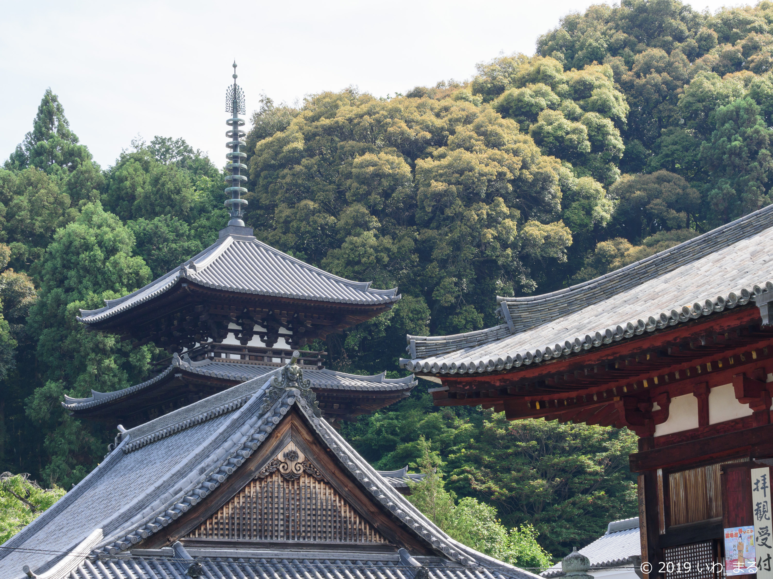 f:id:iwa_maru:20190607212003j:plain