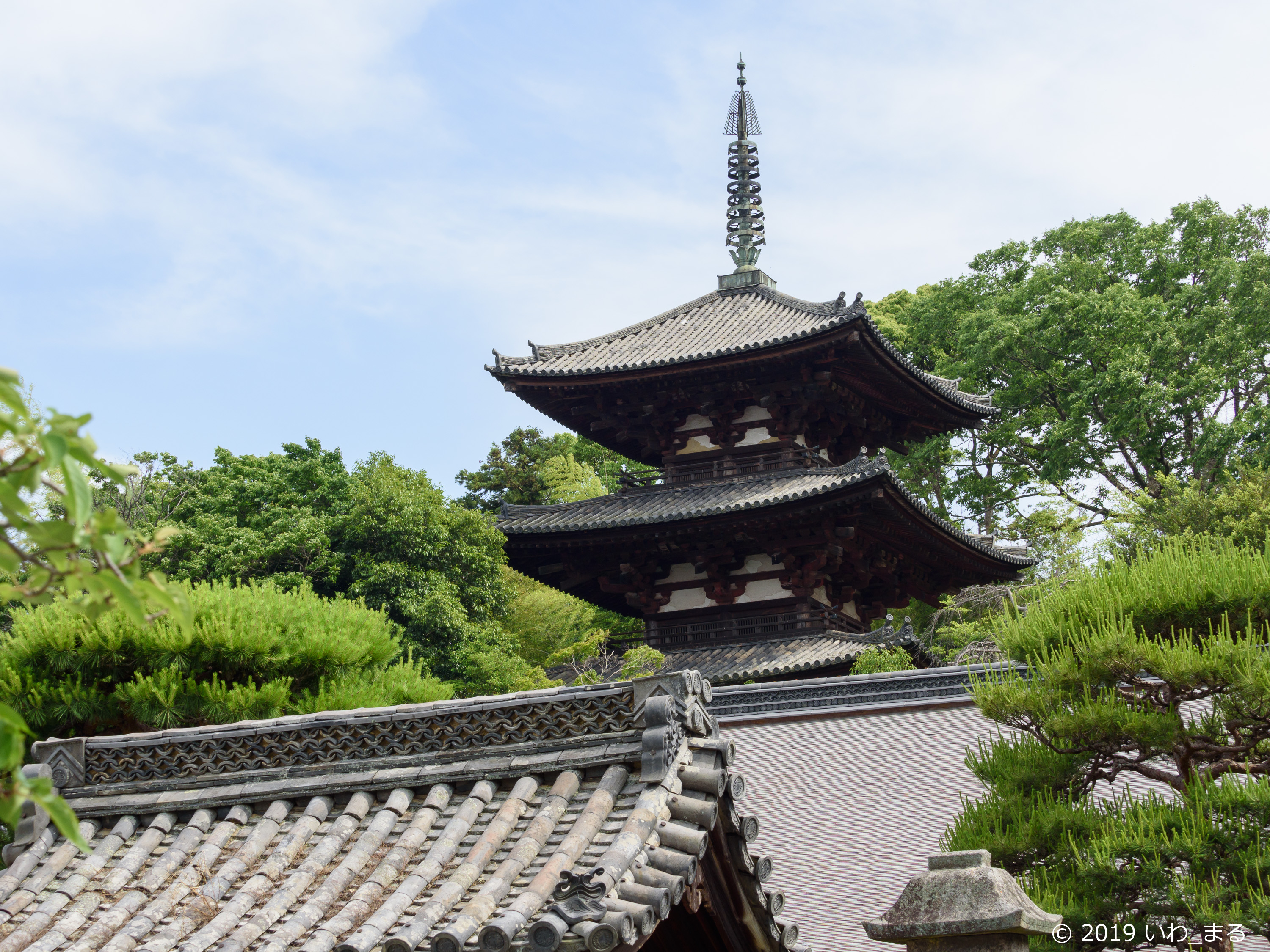 f:id:iwa_maru:20190607212445j:plain