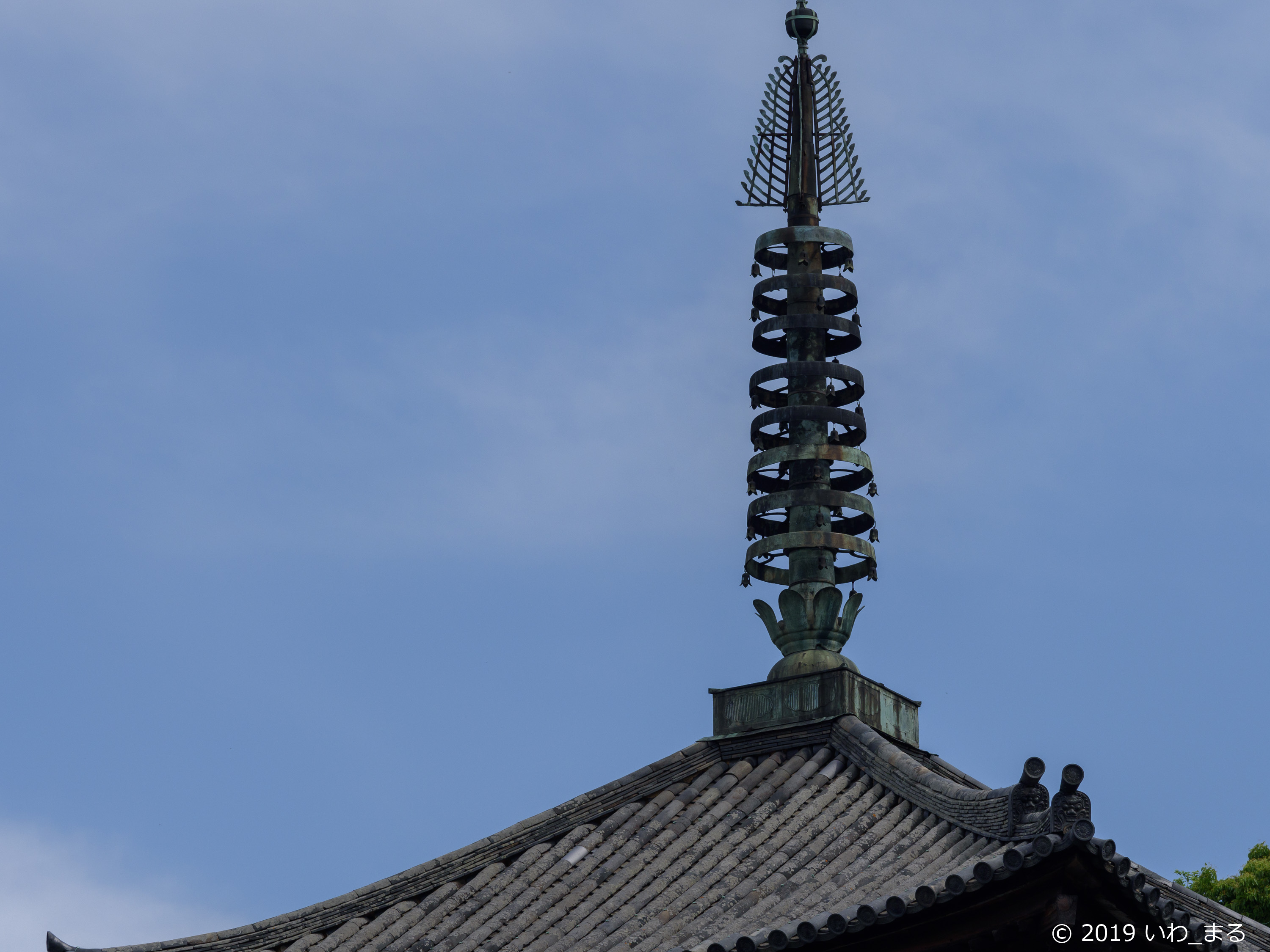 f:id:iwa_maru:20190607212512j:plain