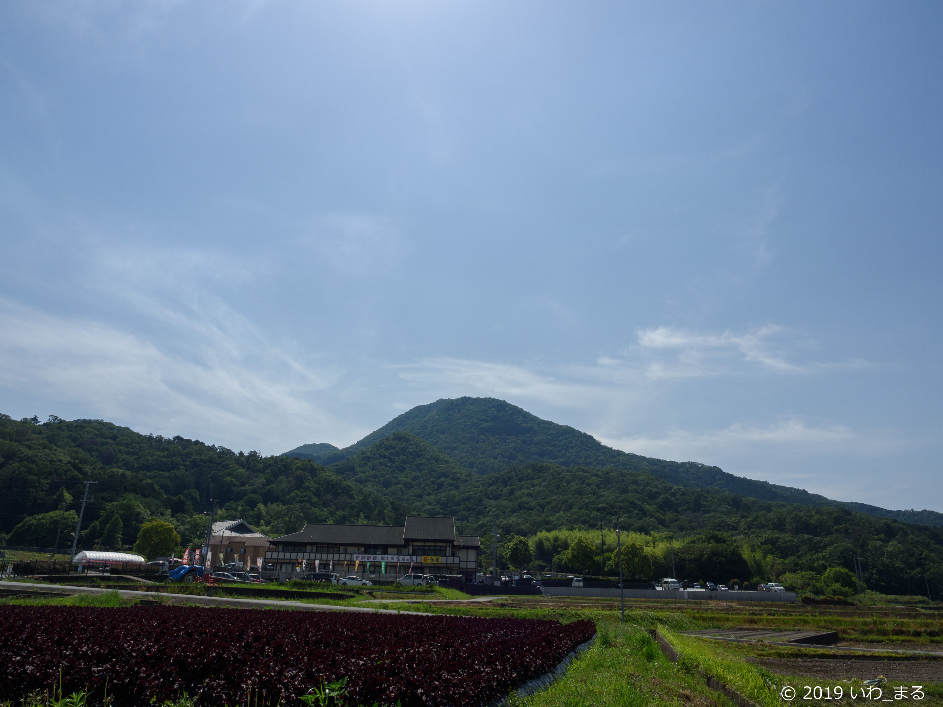 f:id:iwa_maru:20190607212704j:plain f:id:iwa_maru:20190607212704j:plain