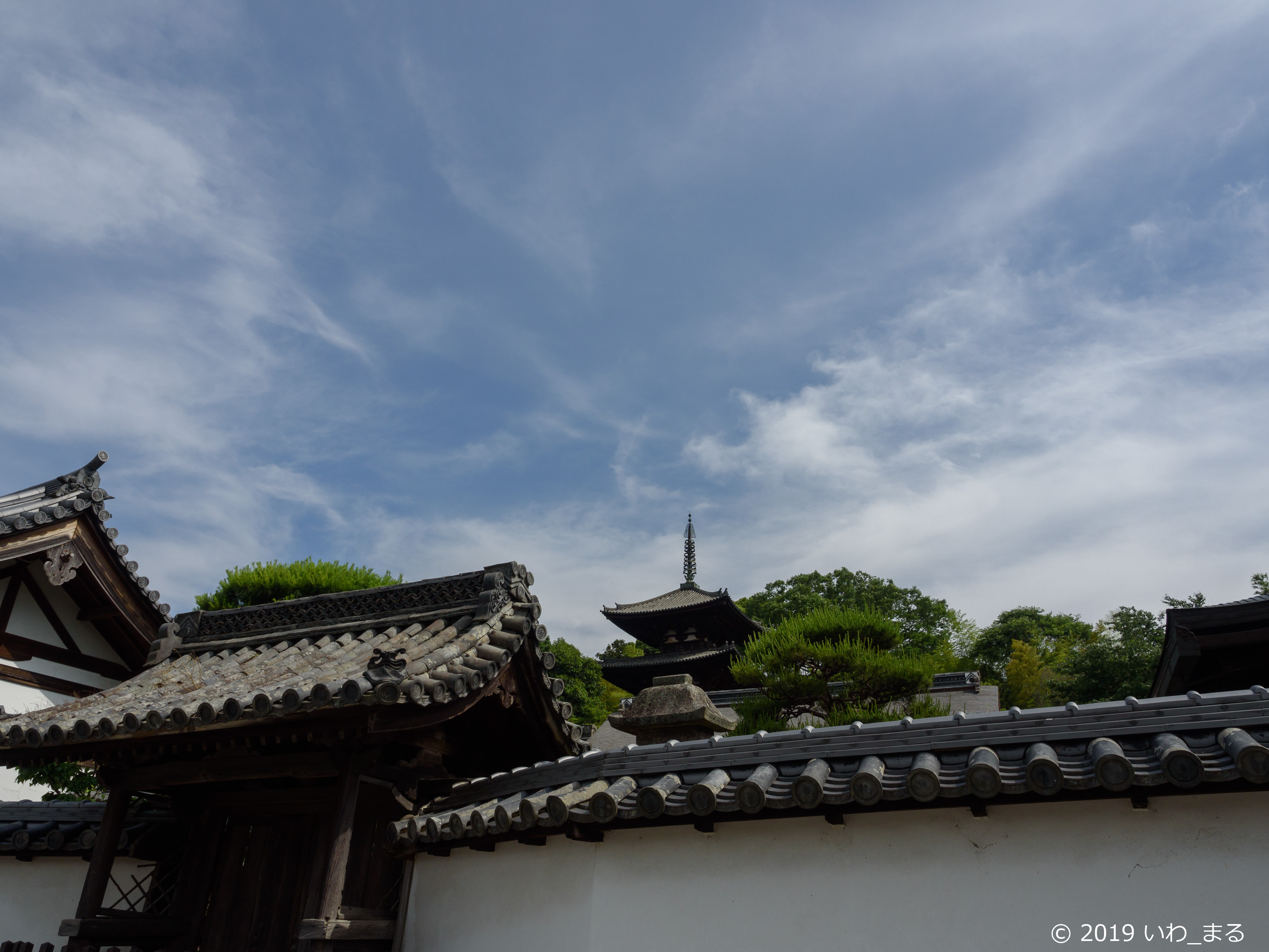 f:id:iwa_maru:20190607212824j:plain