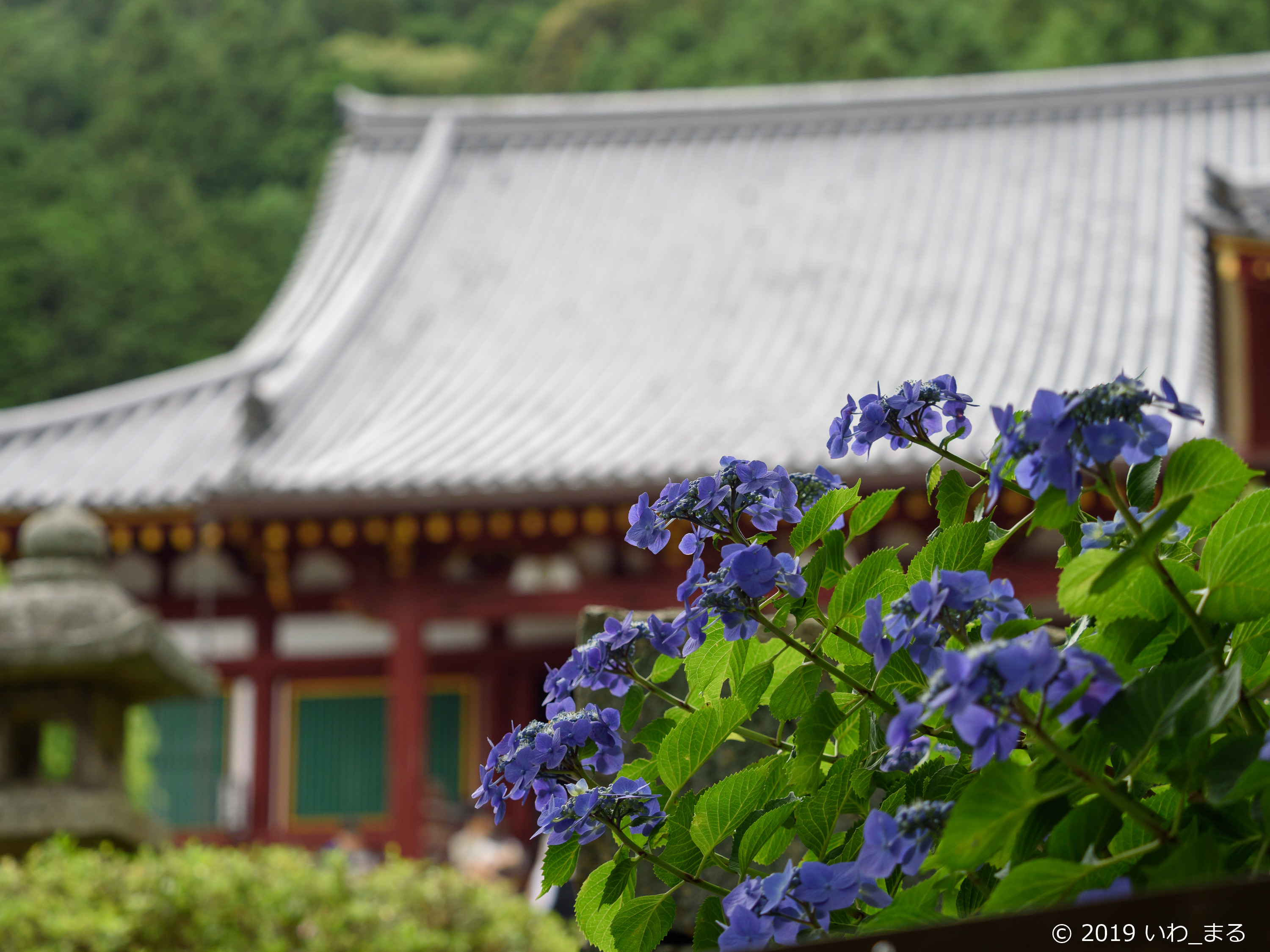 f:id:iwa_maru:20190623212228j:plain