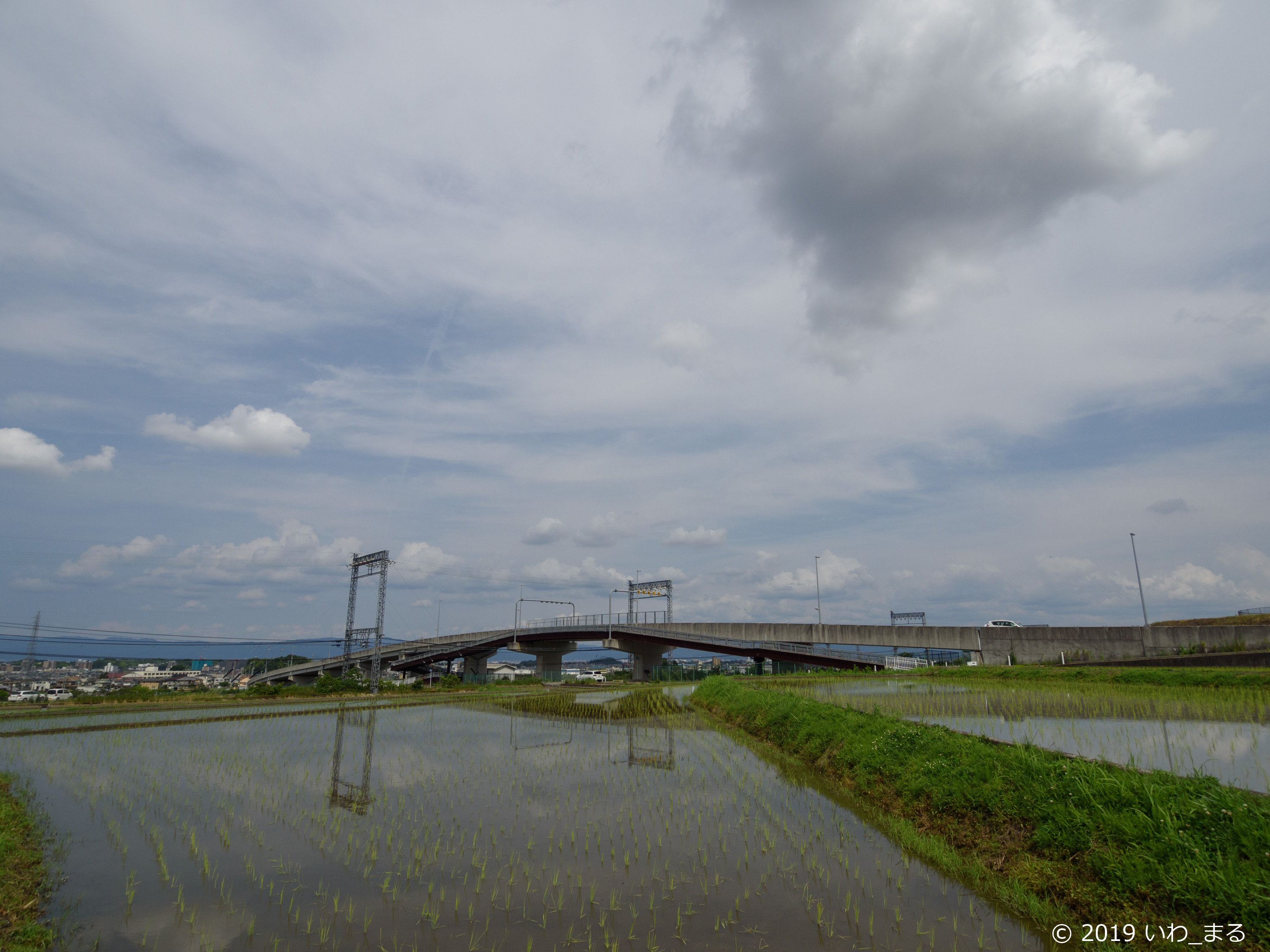 f:id:iwa_maru:20190628223044j:plain f:id:iwa_maru:20190628223044j:plain