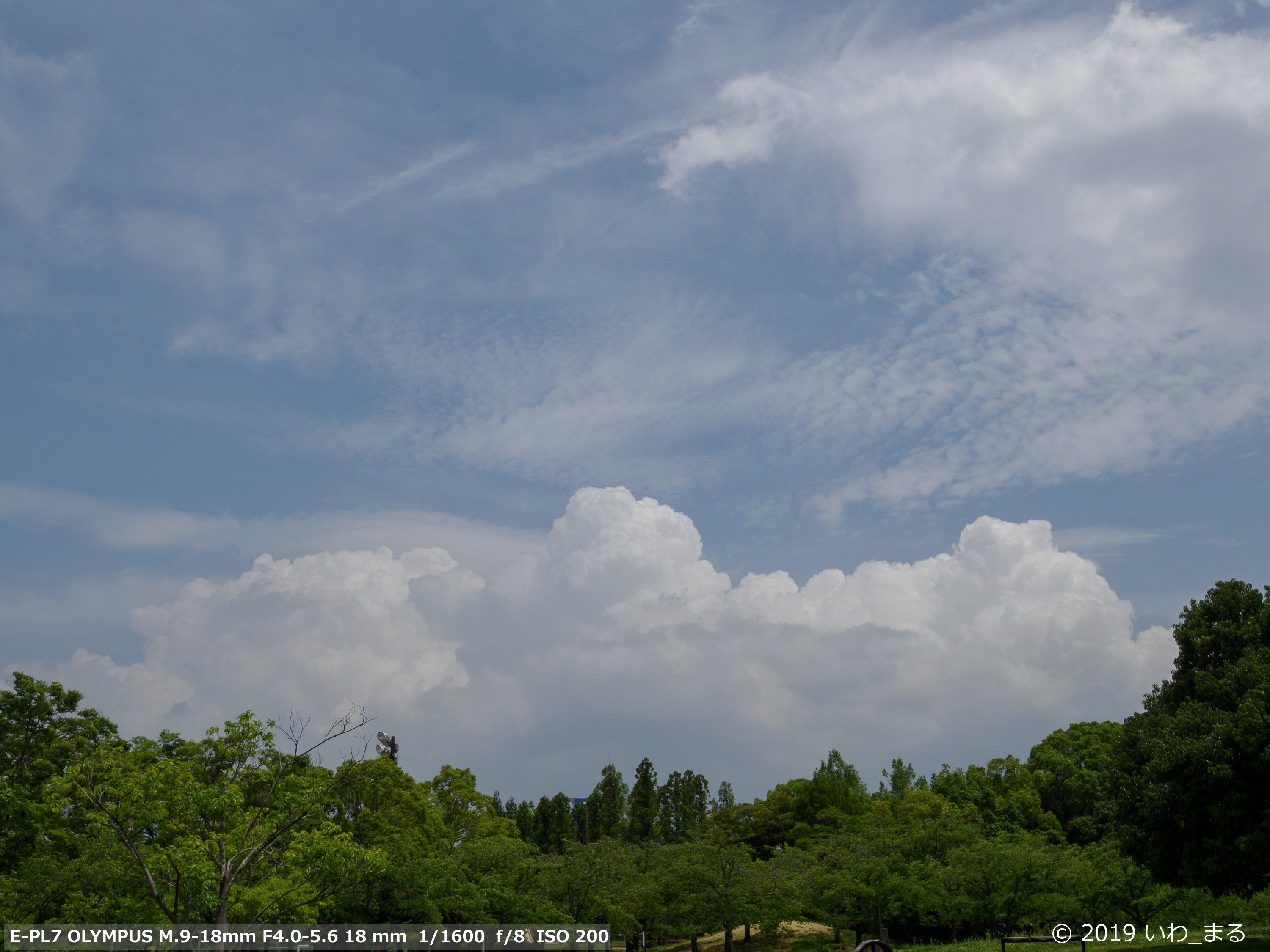 f:id:iwa_maru:20190630213732j:plain