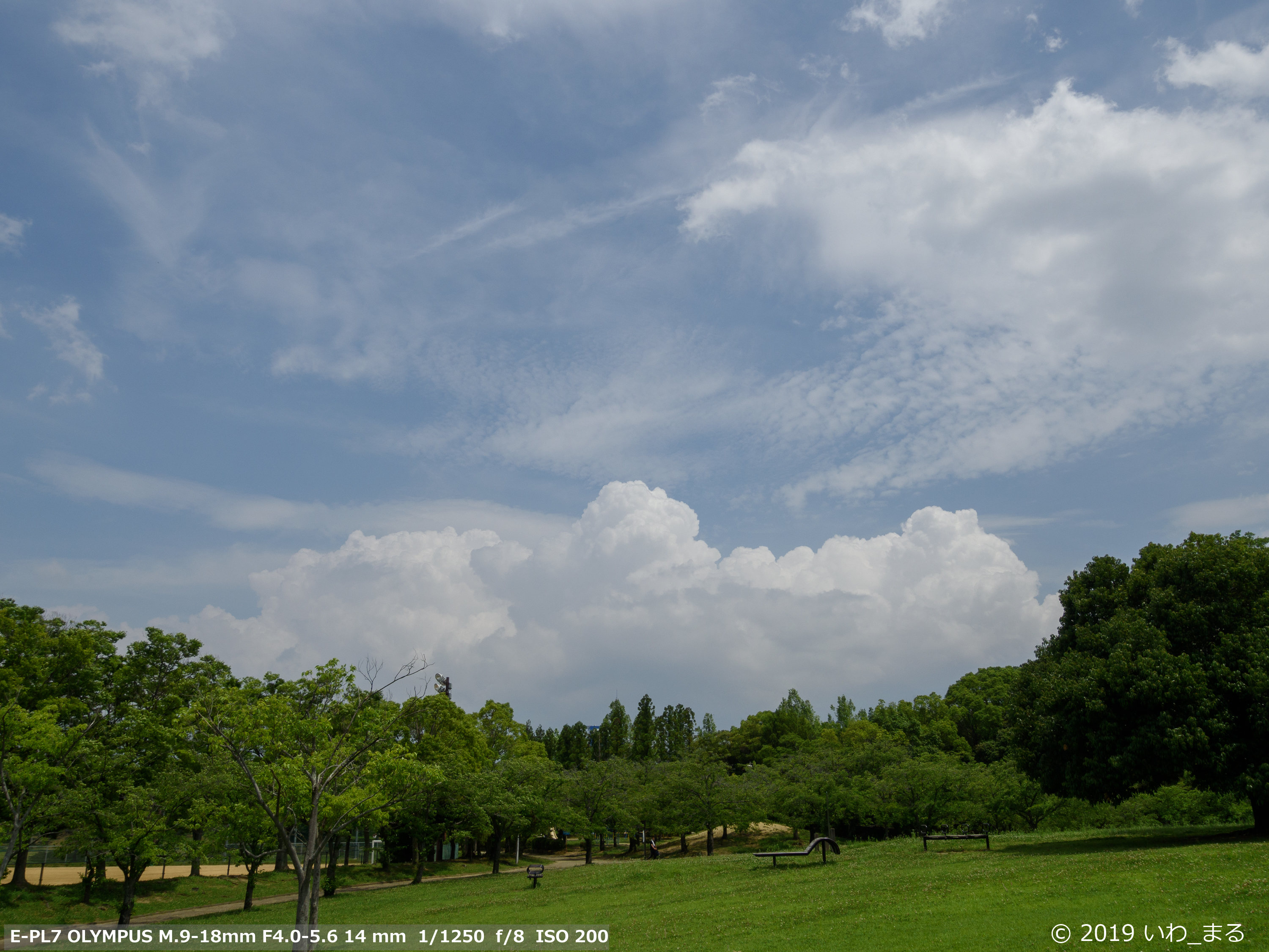 f:id:iwa_maru:20190630213801j:plain