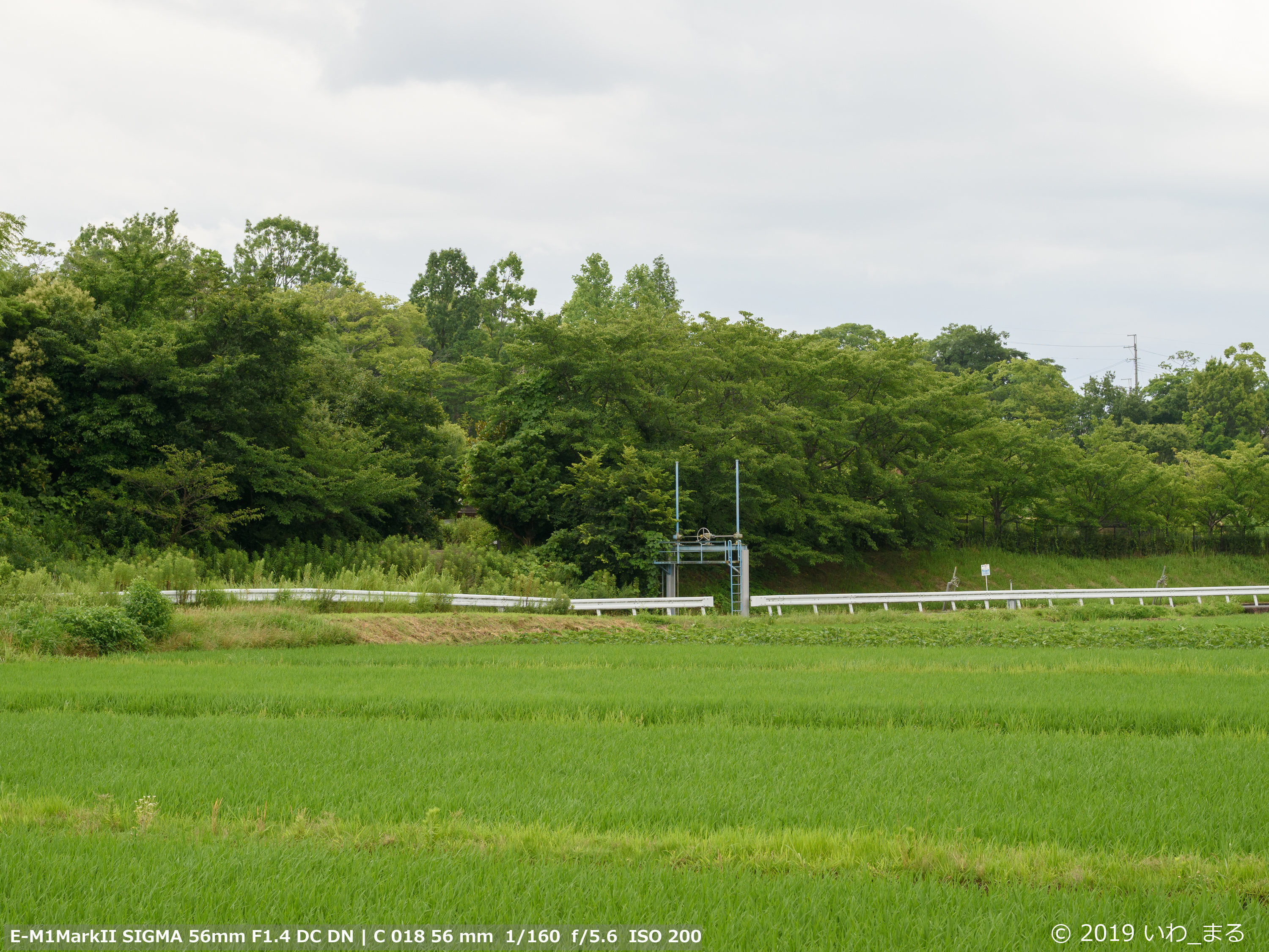 f:id:iwa_maru:20190721172430j:plain