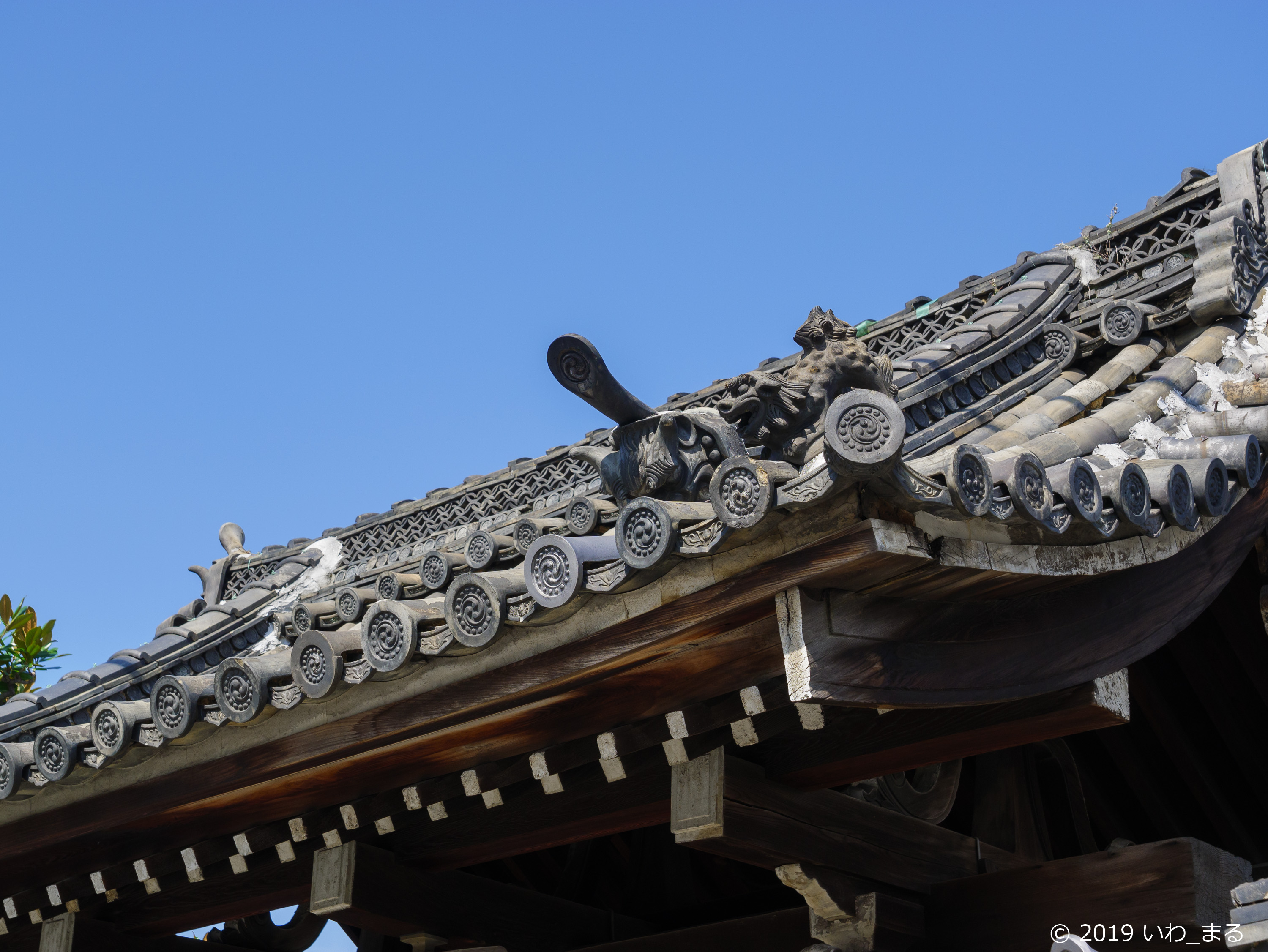 f:id:iwa_maru:20190801212056j:plain f:id:iwa_maru:20190801212056j:plain