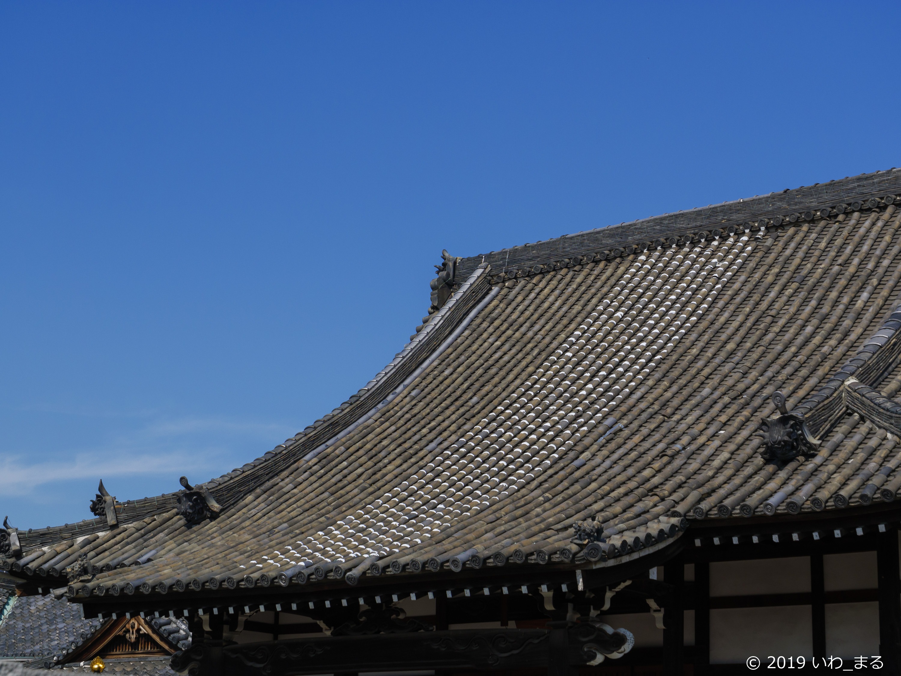f:id:iwa_maru:20190801212108j:plain f:id:iwa_maru:20190801212108j:plain