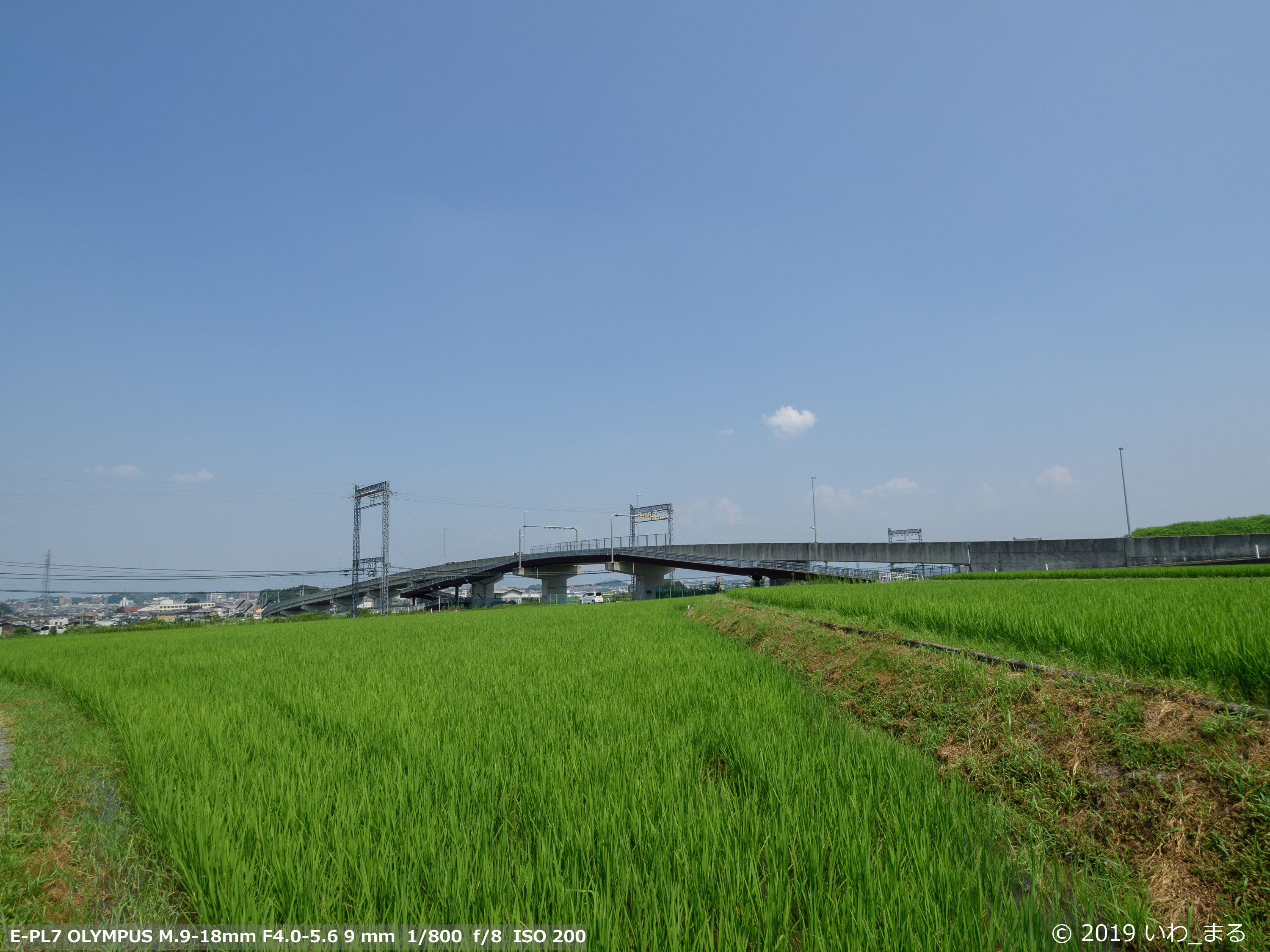 f:id:iwa_maru:20190802214251j:plain