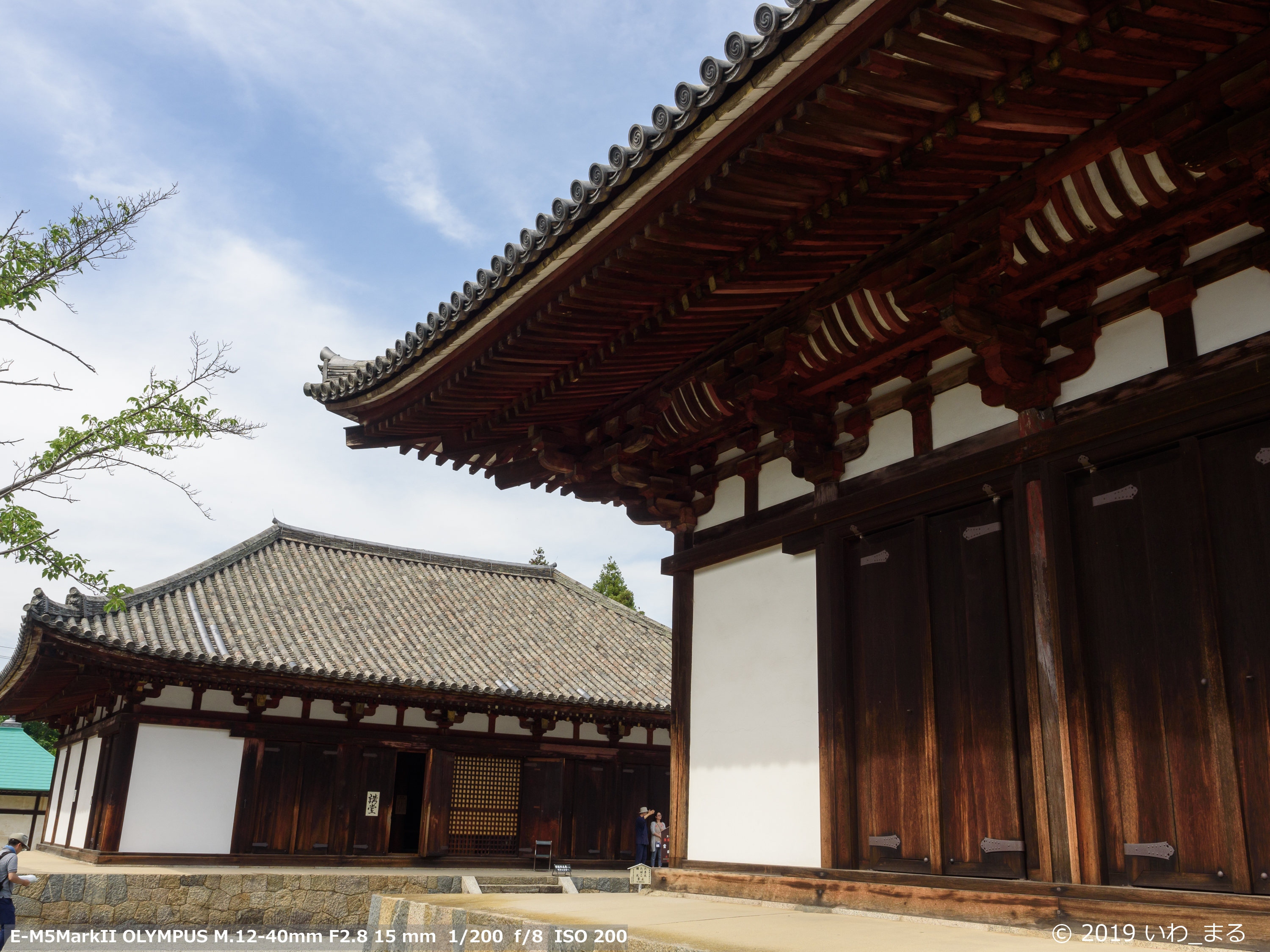 f:id:iwa_maru:20190802214308j:plain