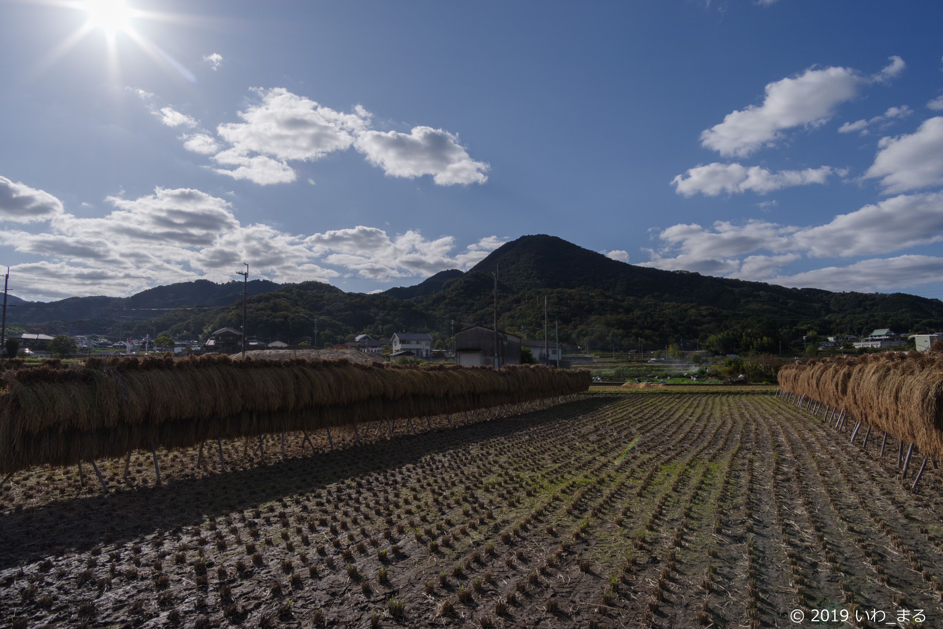 f:id:iwa_maru:20191116205935j:plain