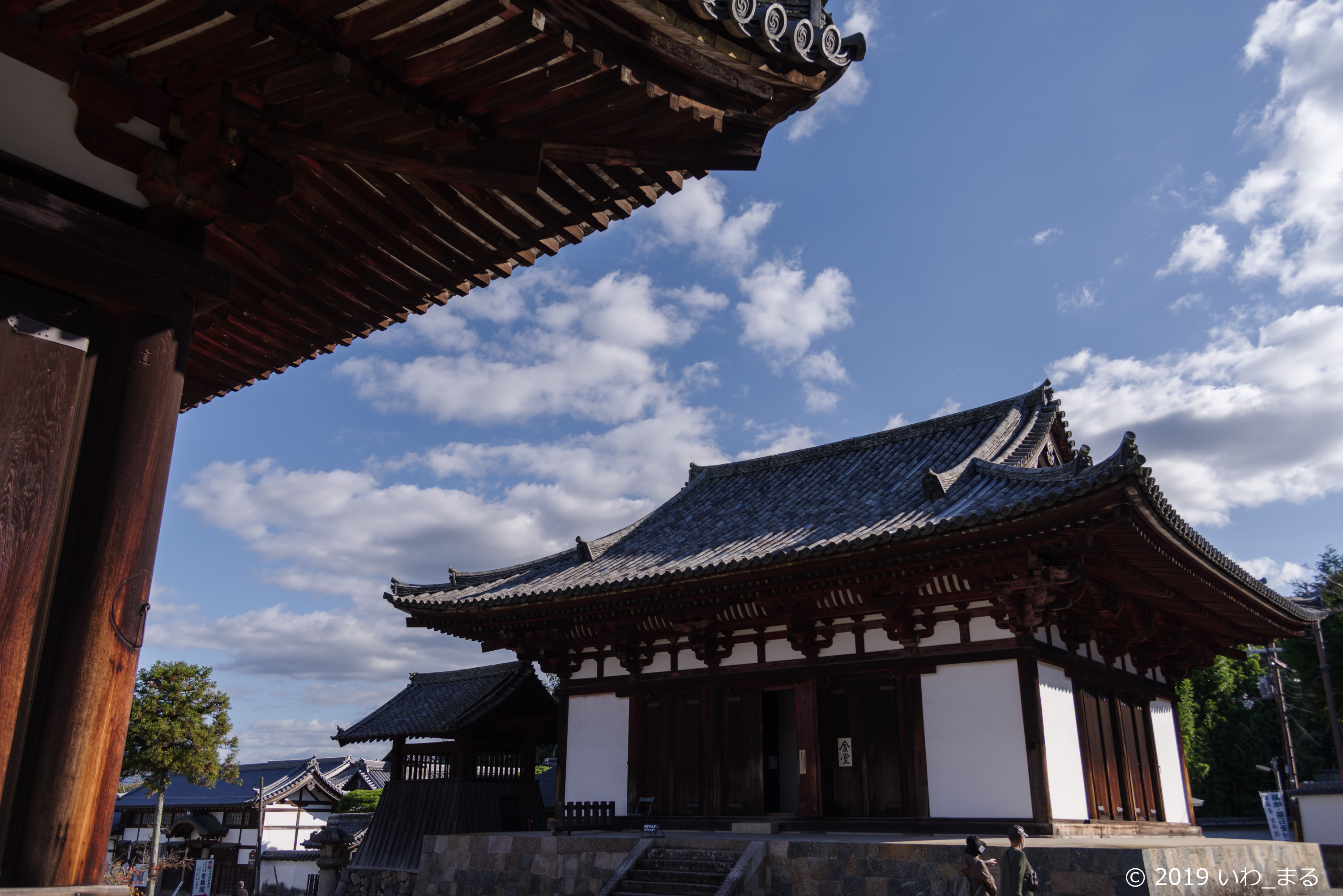f:id:iwa_maru:20191116210003j:plain
