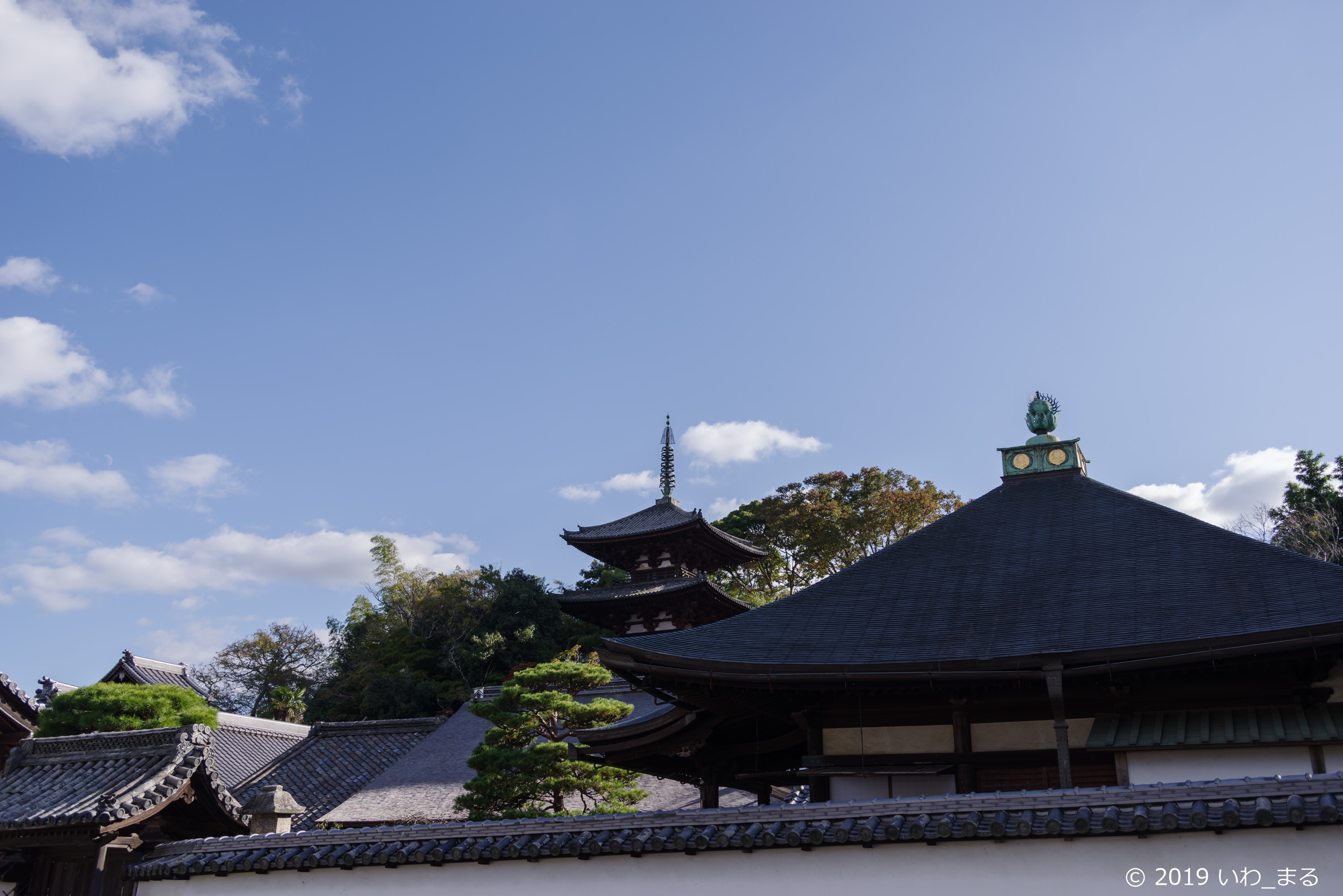 f:id:iwa_maru:20191116211727j:plain