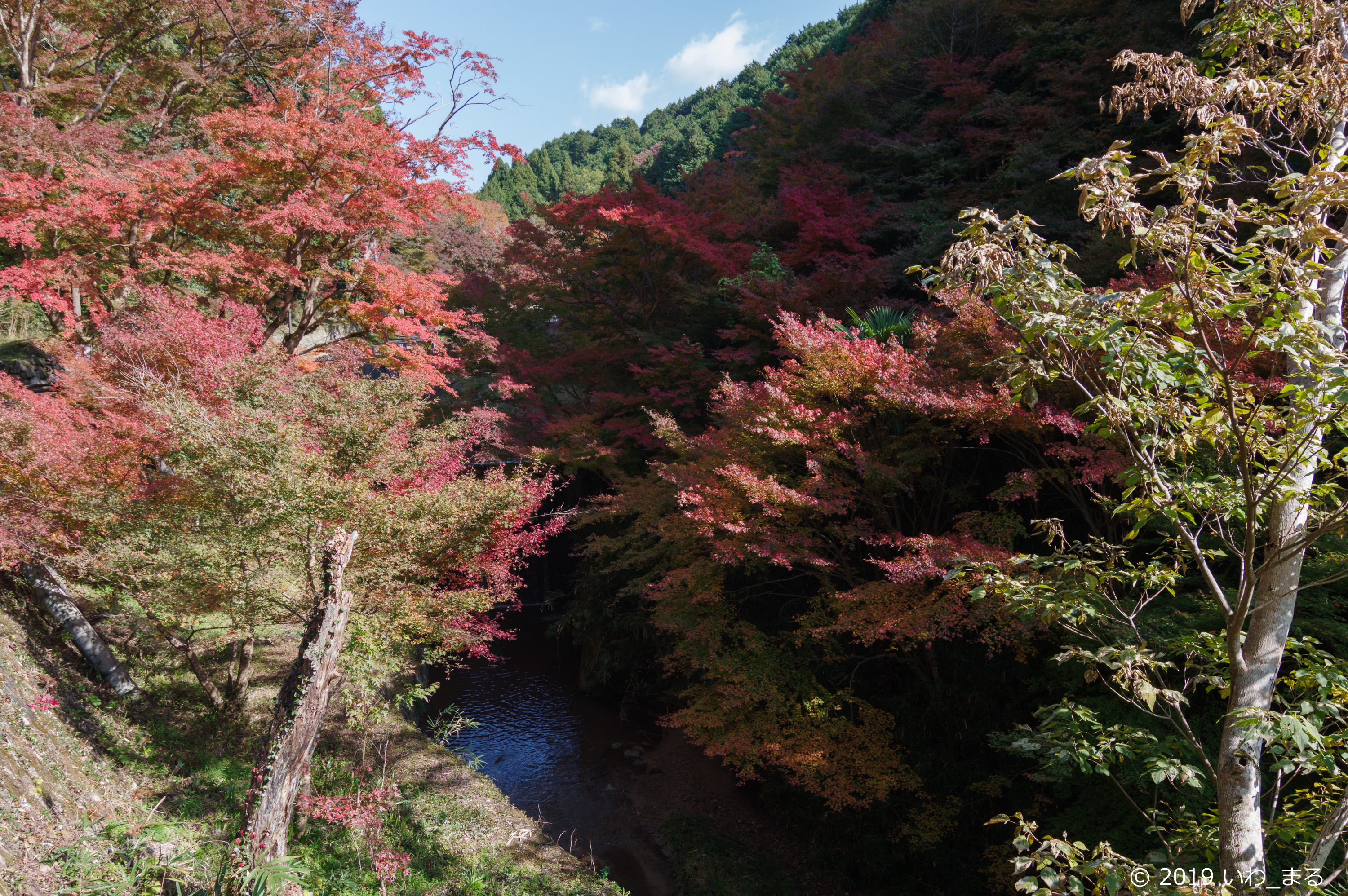 f:id:iwa_maru:20191118221927j:plain