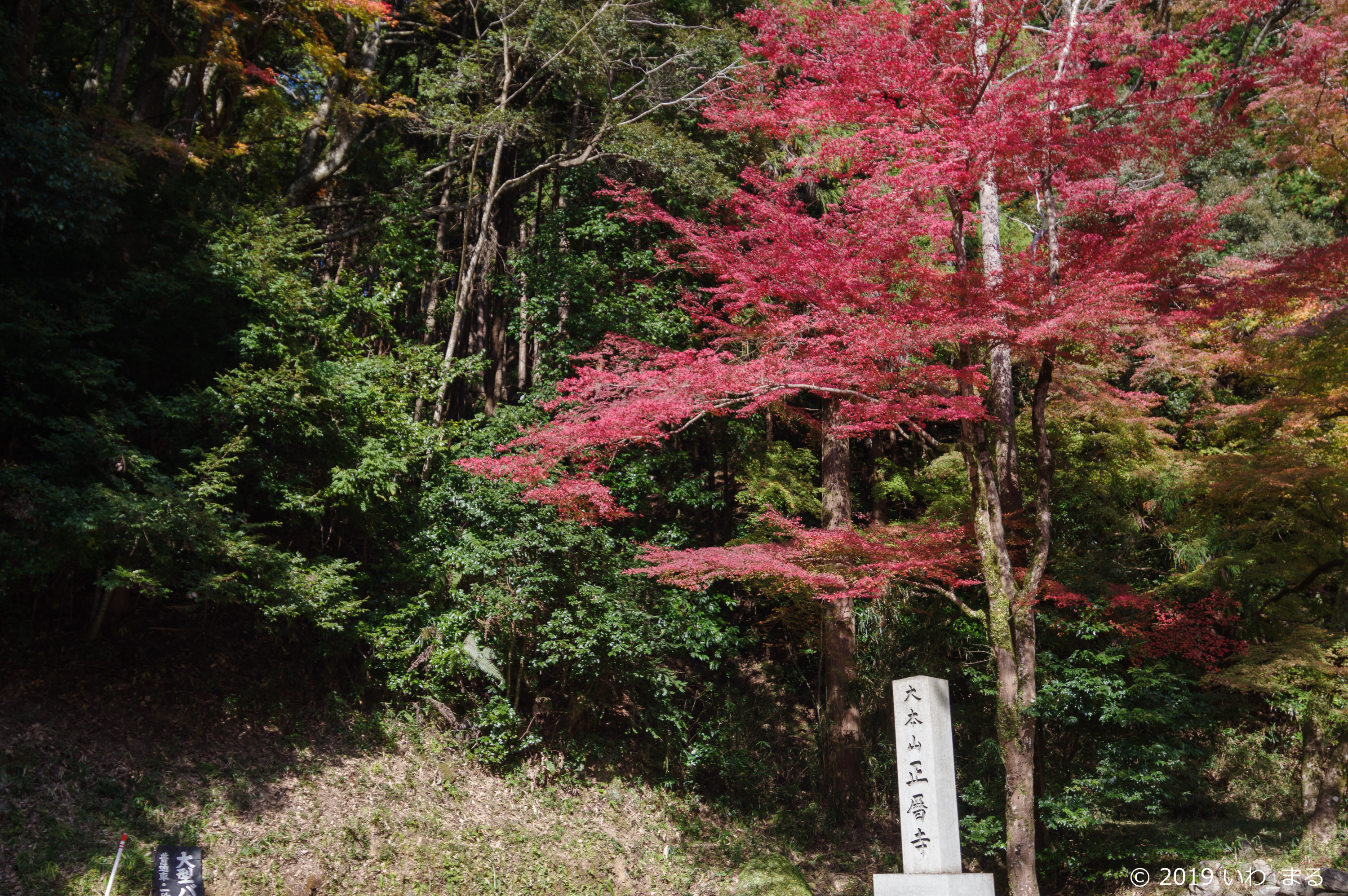 f:id:iwa_maru:20191118221935j:plain