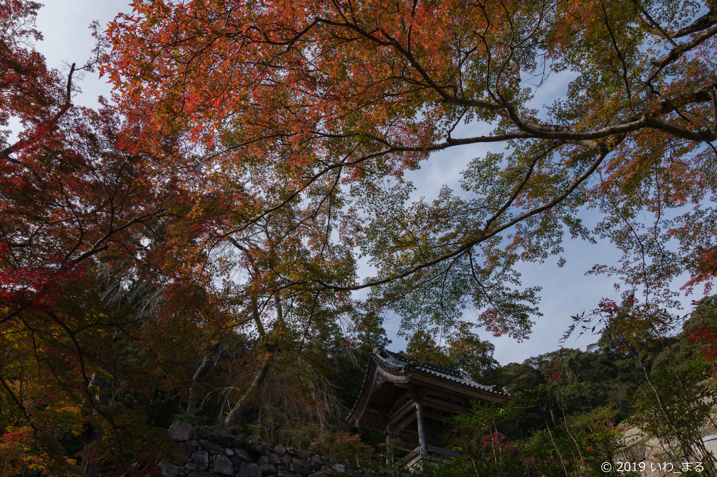 f:id:iwa_maru:20191118222030j:plain