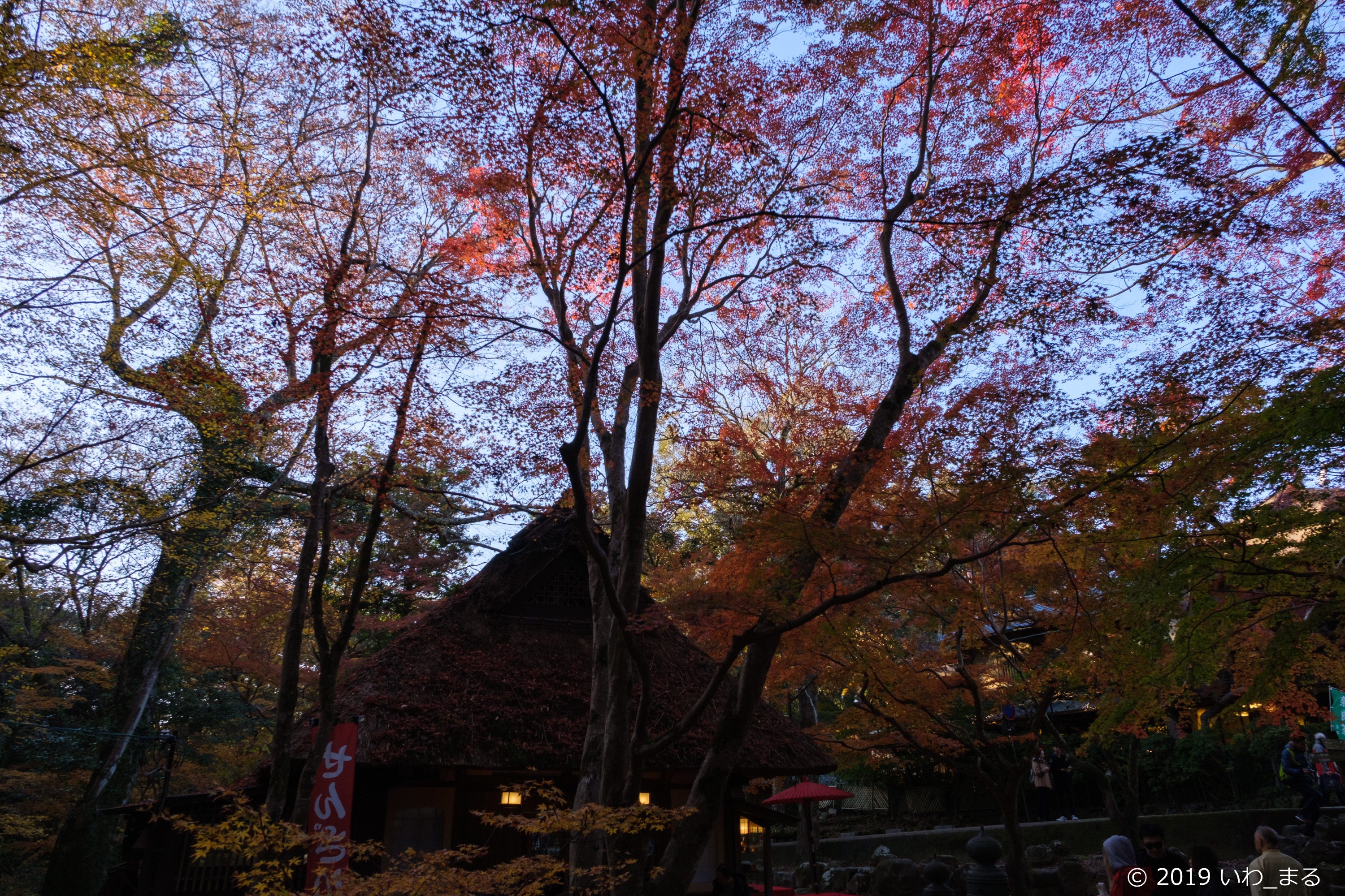 f:id:iwa_maru:20191201204403j:plain