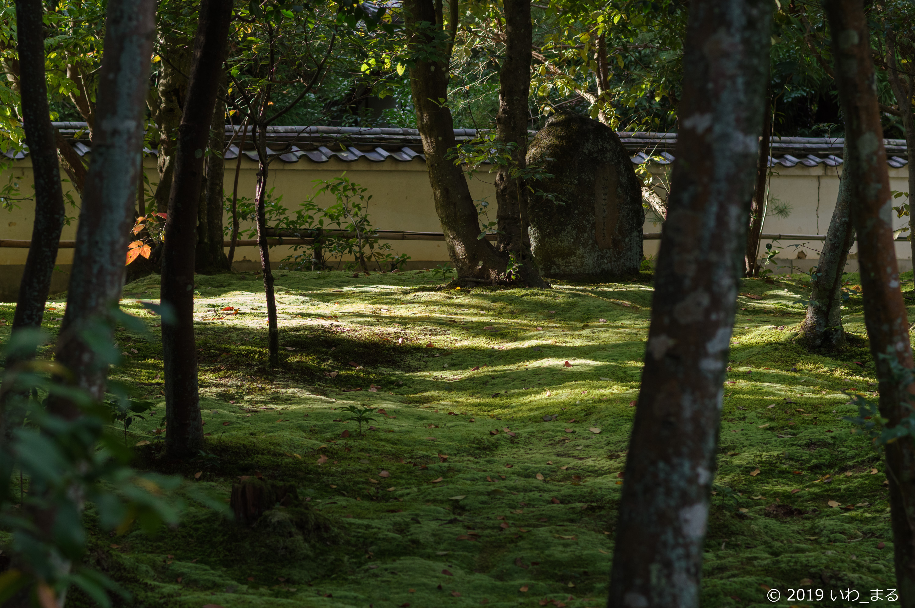 f:id:iwa_maru:20191204211604j:plain