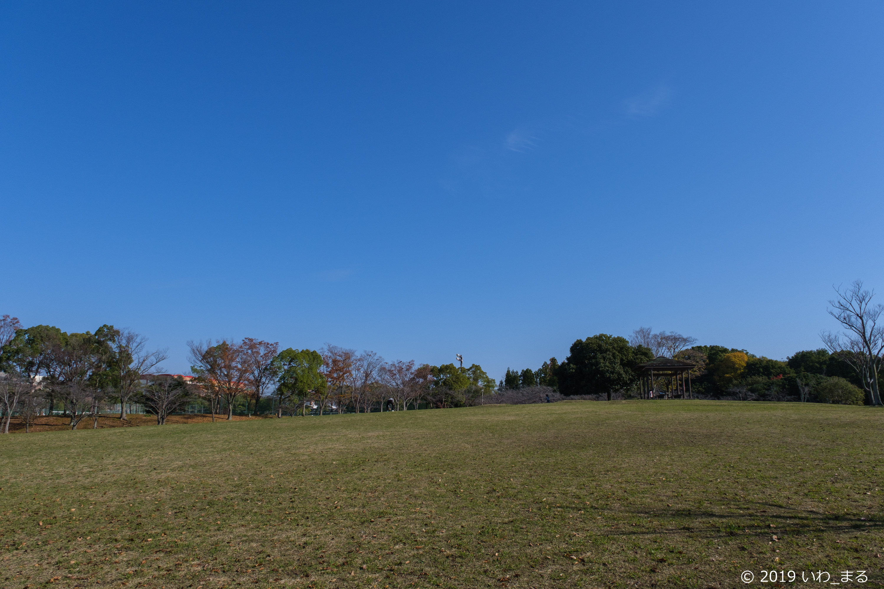 f:id:iwa_maru:20191207205143j:plain
