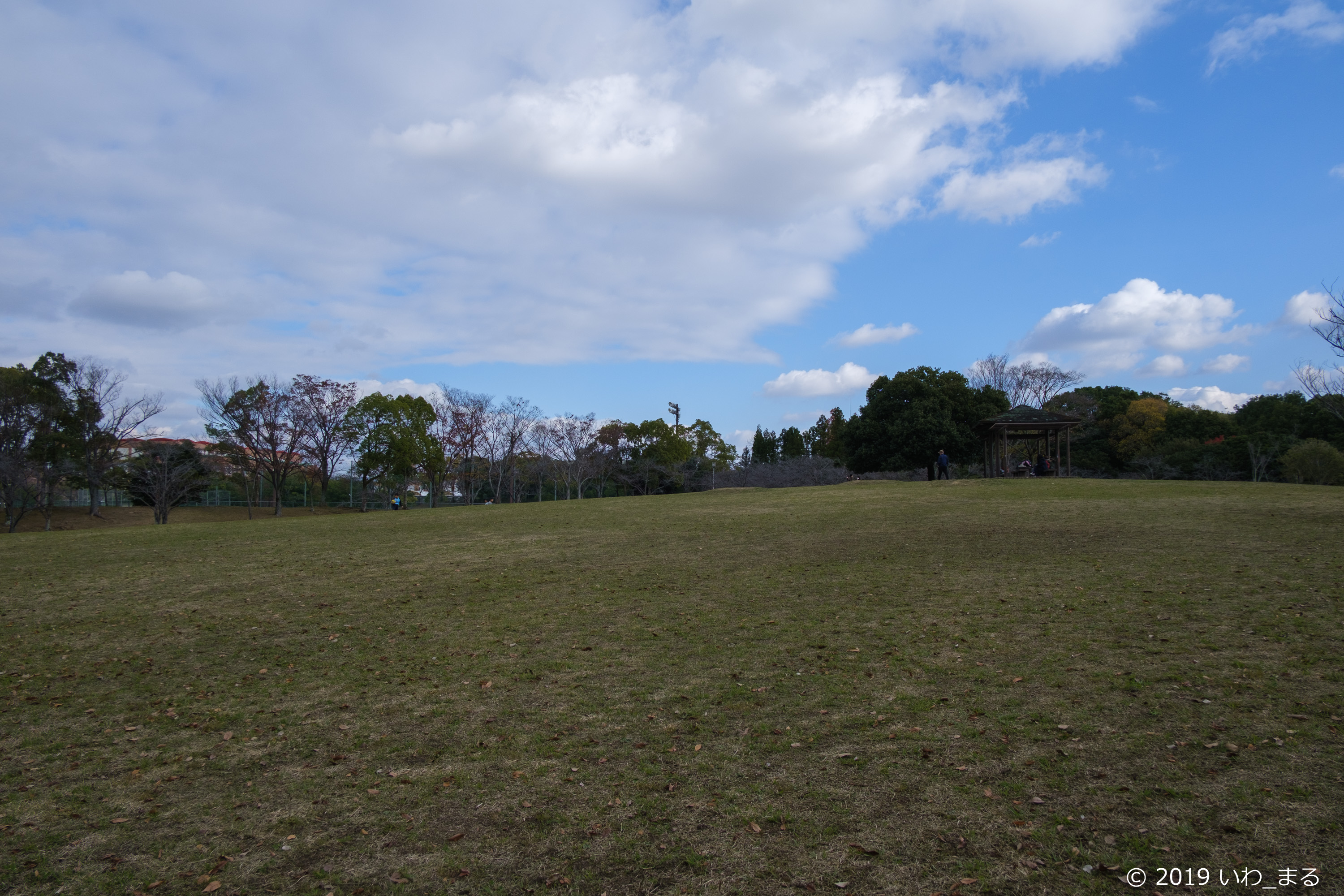 f:id:iwa_maru:20191209011529j:plain