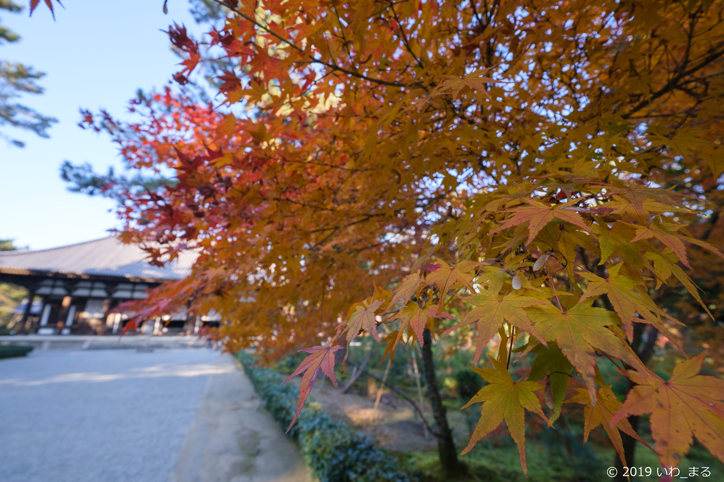 f:id:iwa_maru:20191219202415j:plain