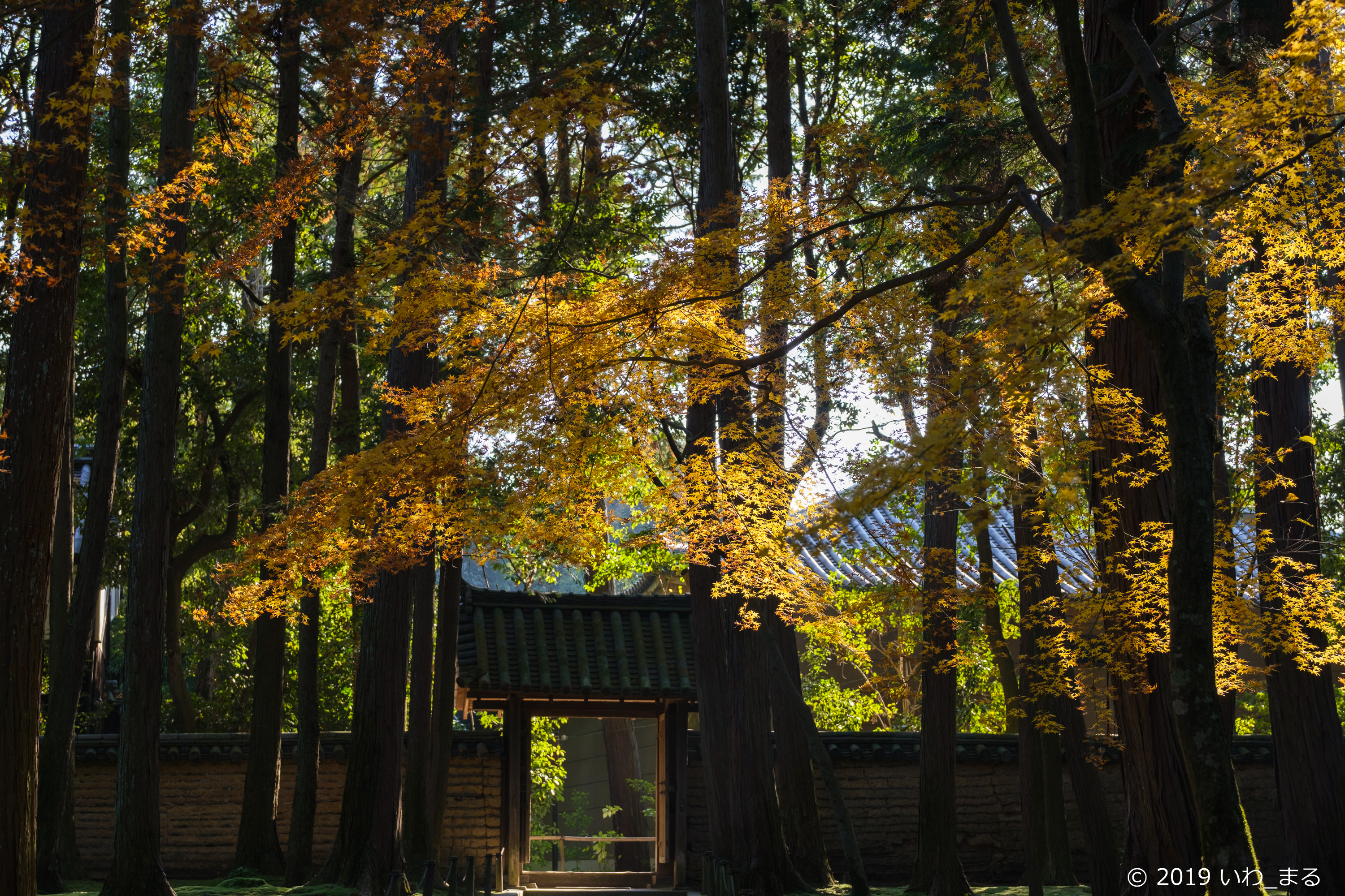 f:id:iwa_maru:20191220200544j:plain f:id:iwa_maru:20191220200544j:plain