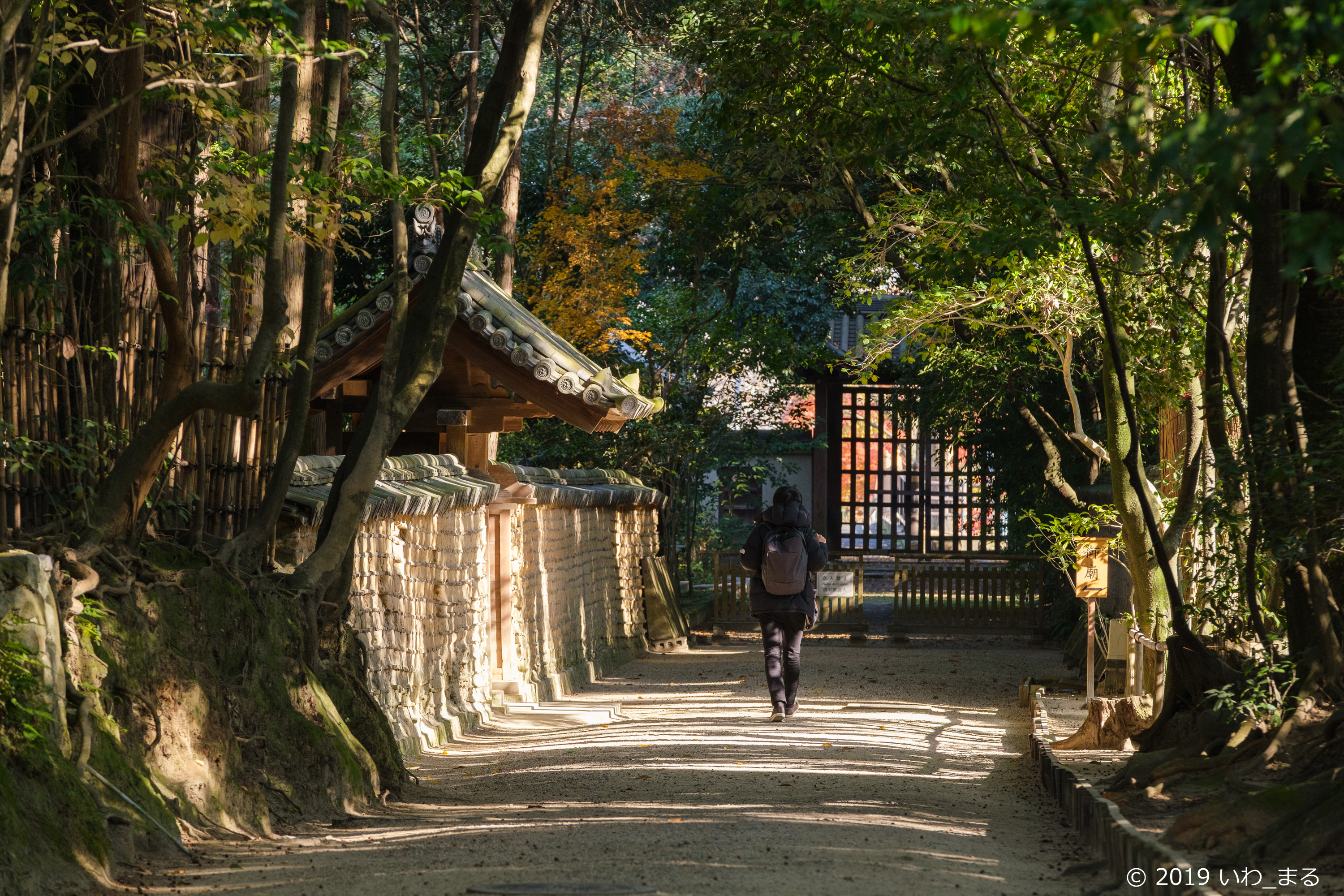 f:id:iwa_maru:20191220200551j:plain f:id:iwa_maru:20191220200551j:plain