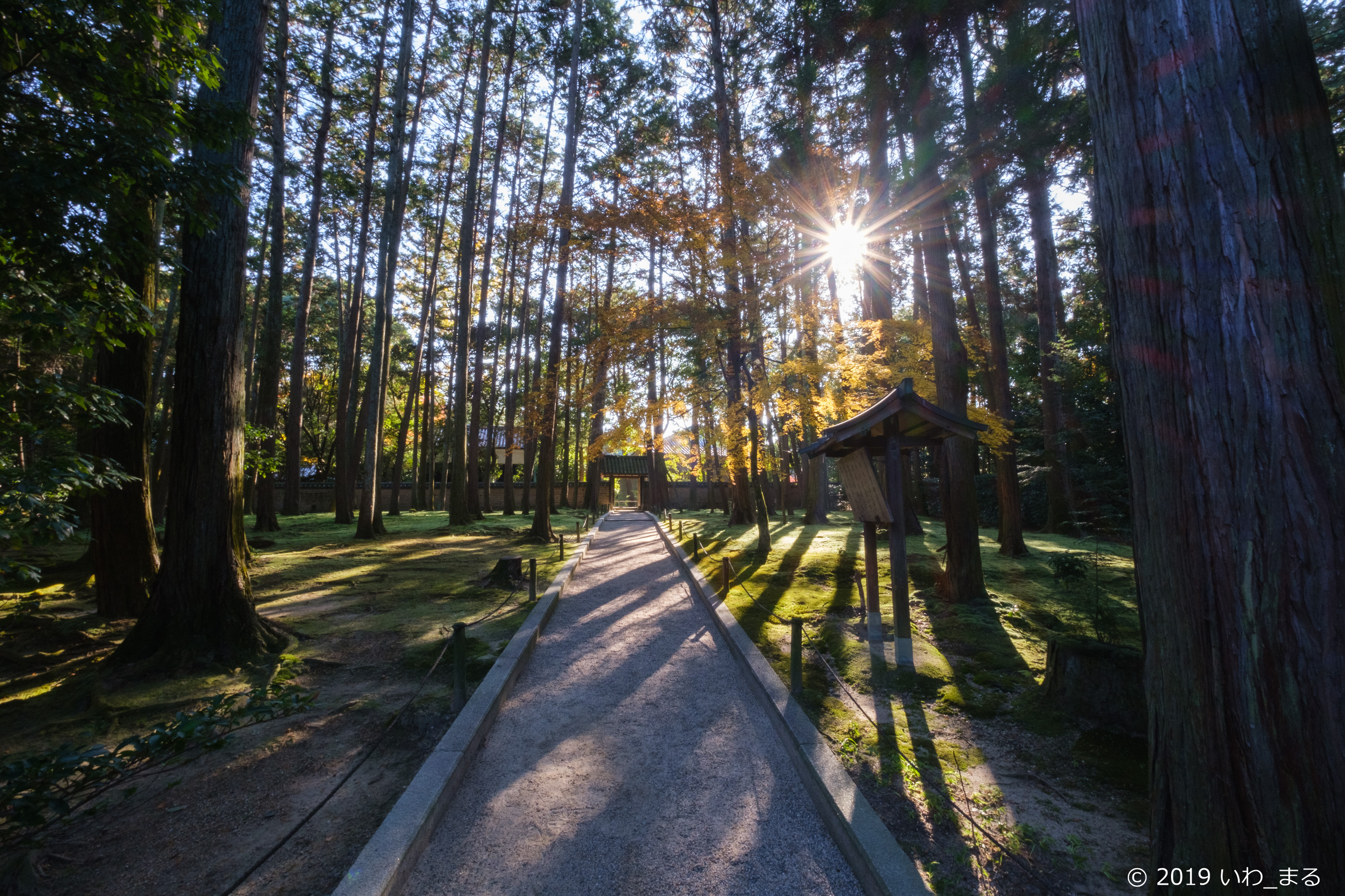 f:id:iwa_maru:20191220200649j:plain f:id:iwa_maru:20191220200649j:plain