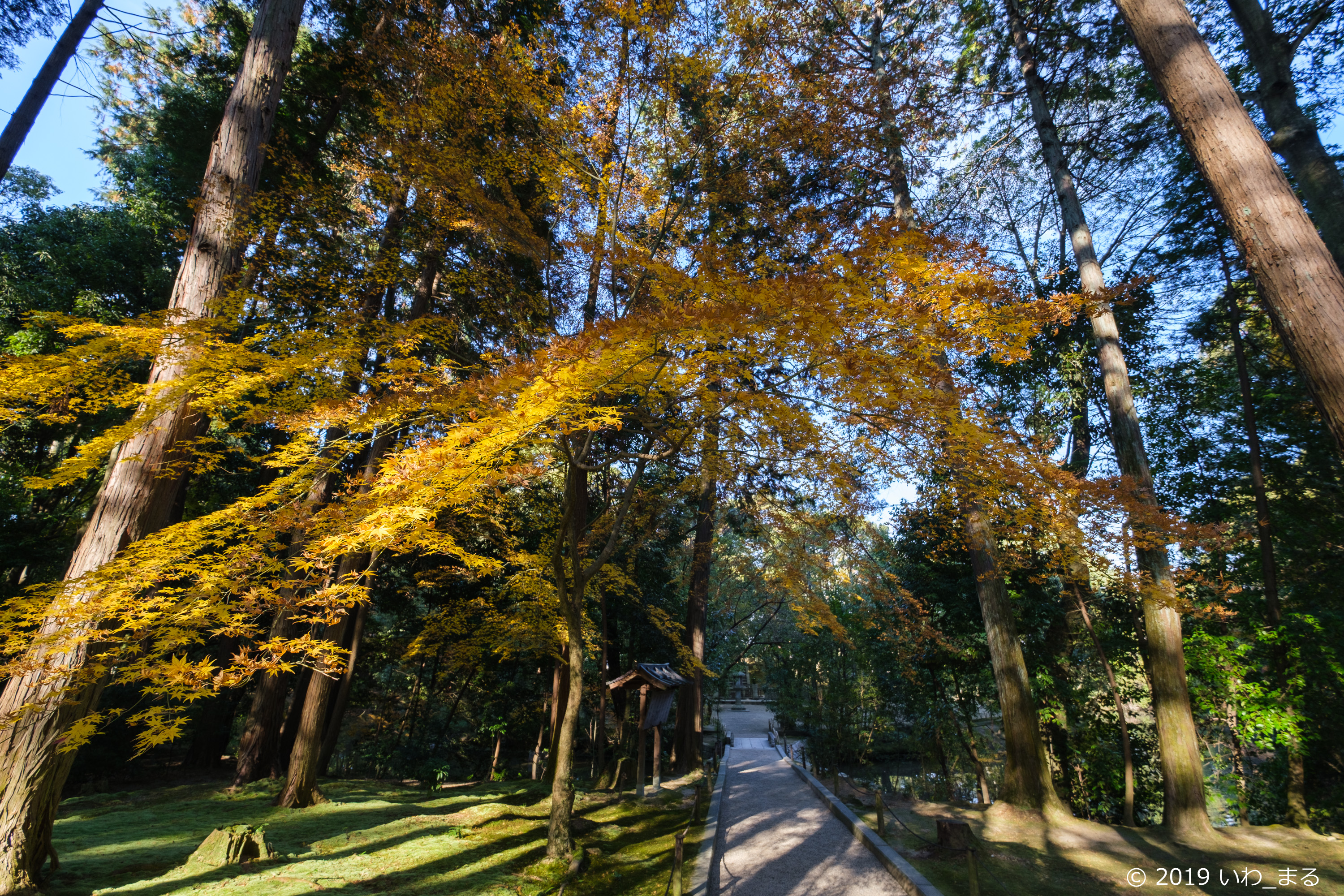 f:id:iwa_maru:20191220200720j:plain f:id:iwa_maru:20191220200720j:plain