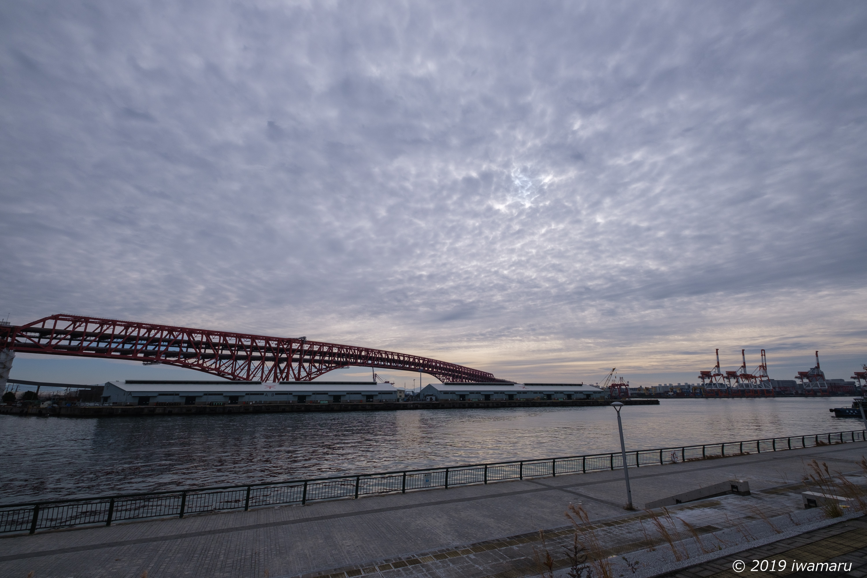 f:id:iwa_maru:20191231171509j:plain f:id:iwa_maru:20191231171509j:plain